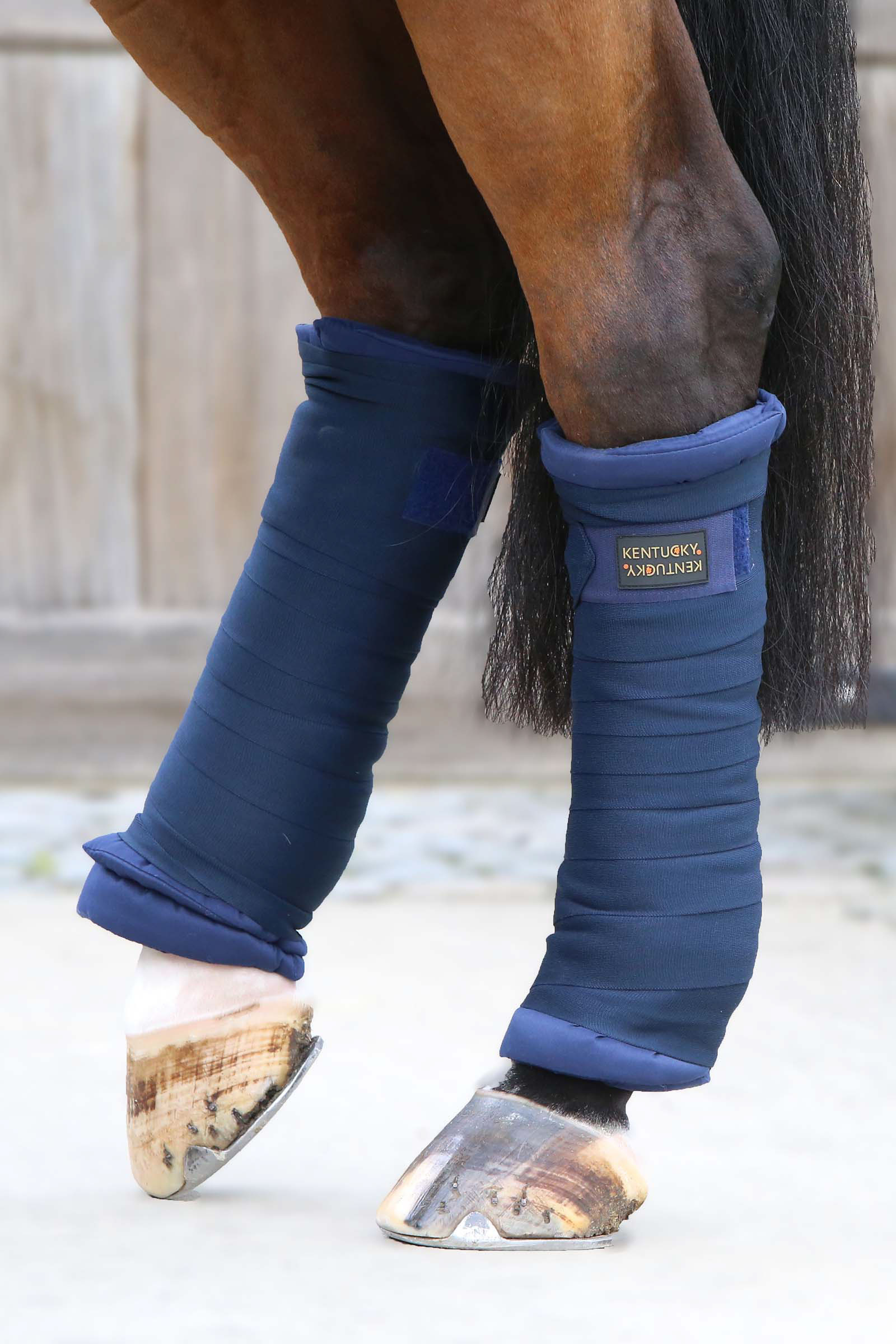 DB/AB Kentucky Horsewear Gewatteerde Bandage Onderlegger, set van 4