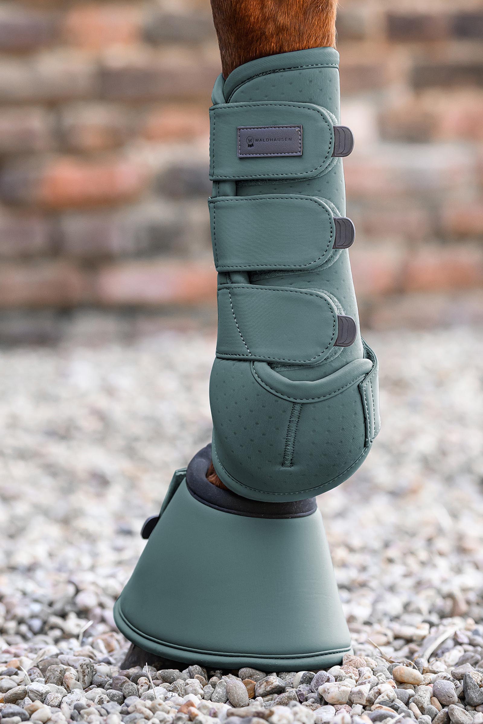 Waldhausen Performance springschoenen