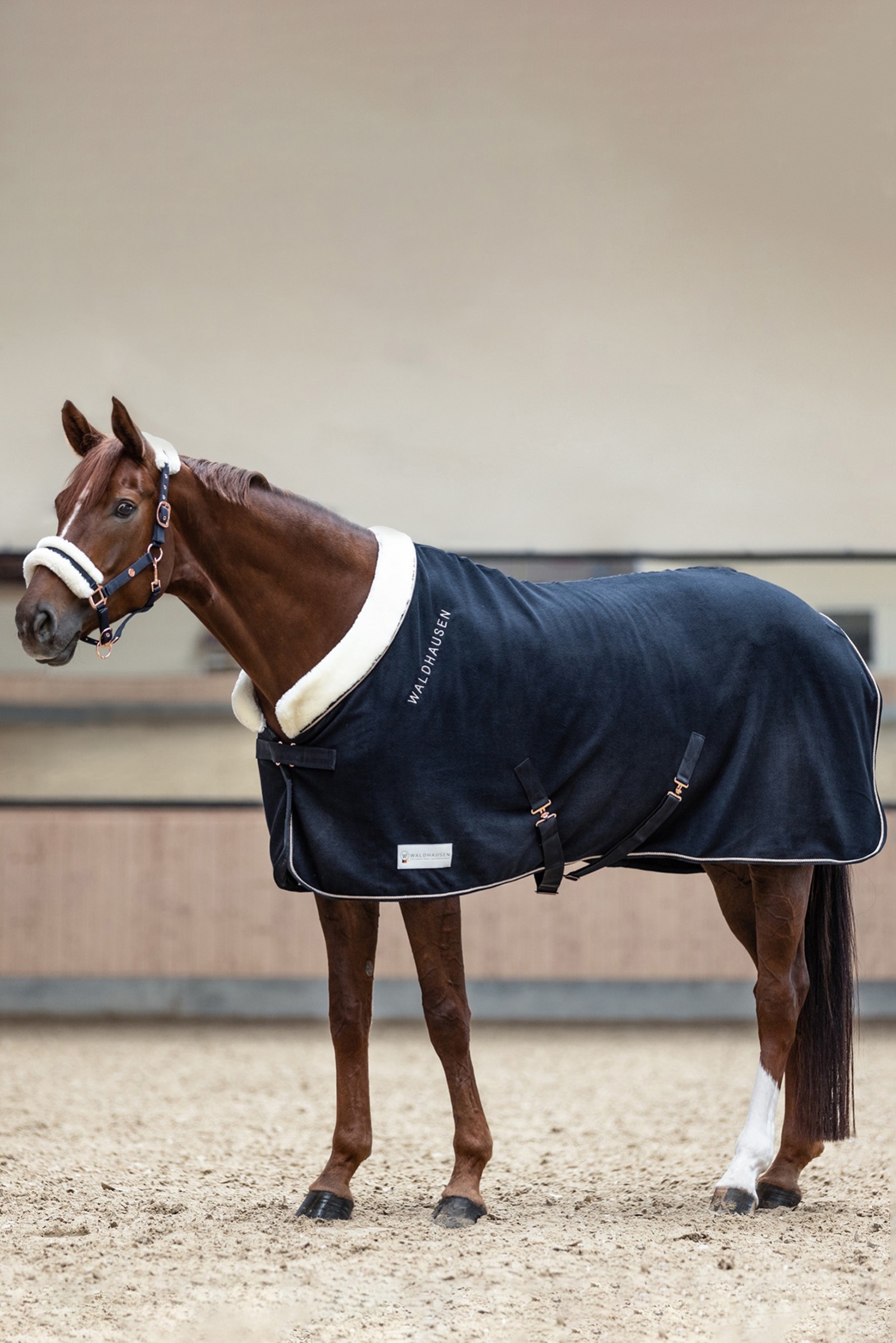 Waldhausen Ros&eacute; Modern Fleece Rug