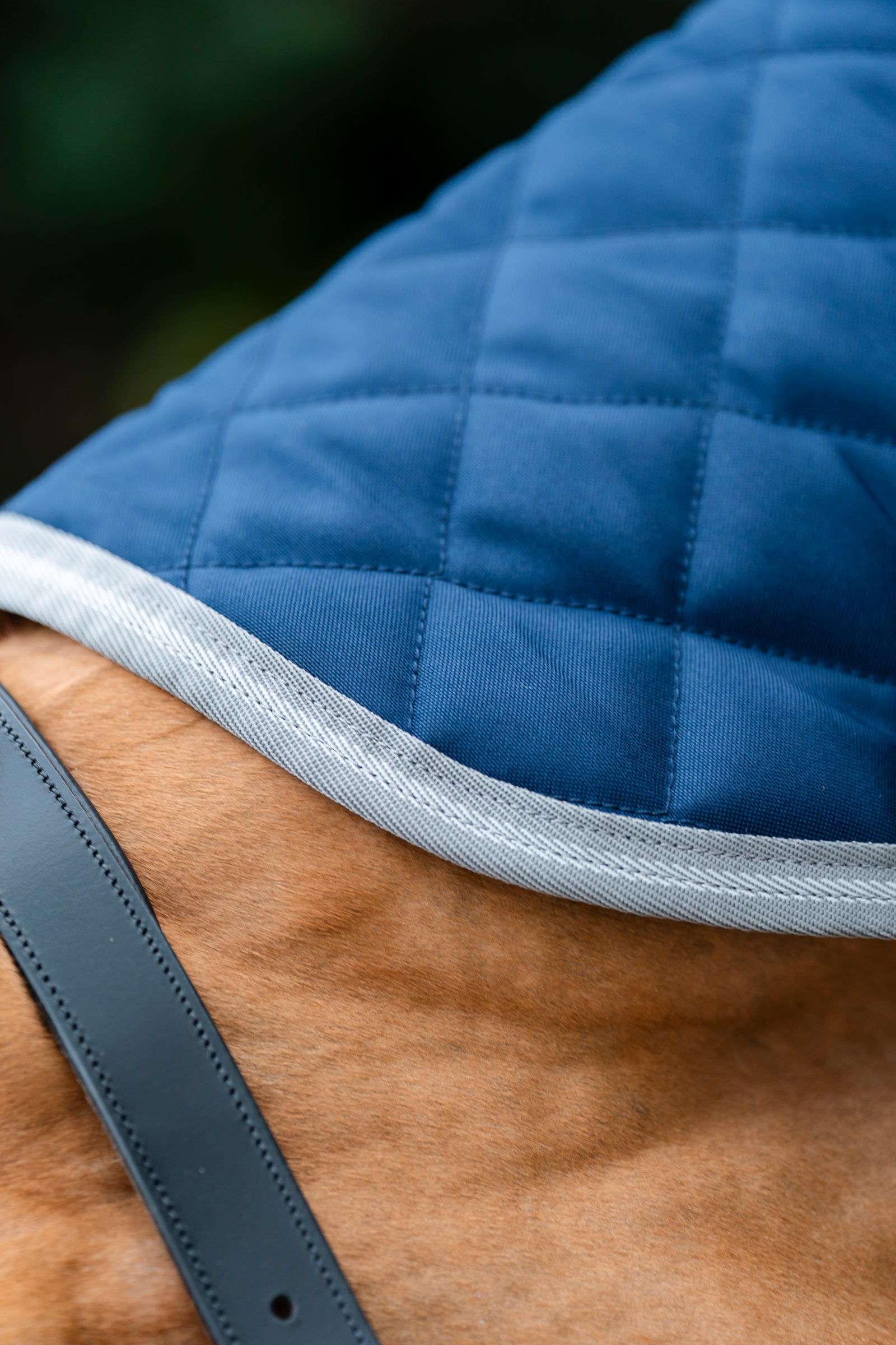 Horseware Amigo gewatteerde staldeken Plus, 200 g