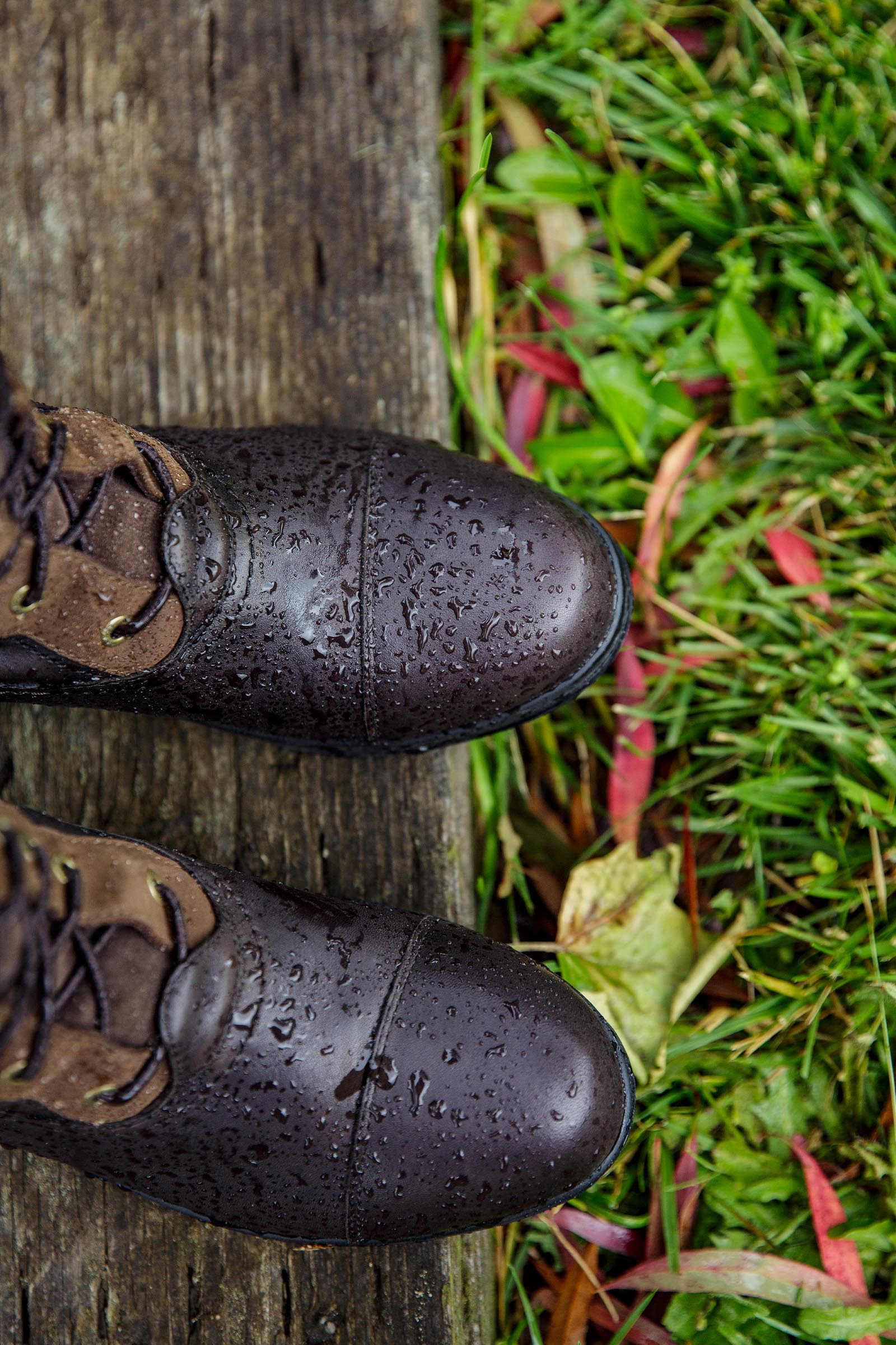 Ariat Coniston Max Waterproof Insulated Dames waterdichte ge&iuml;soleerde laarzen