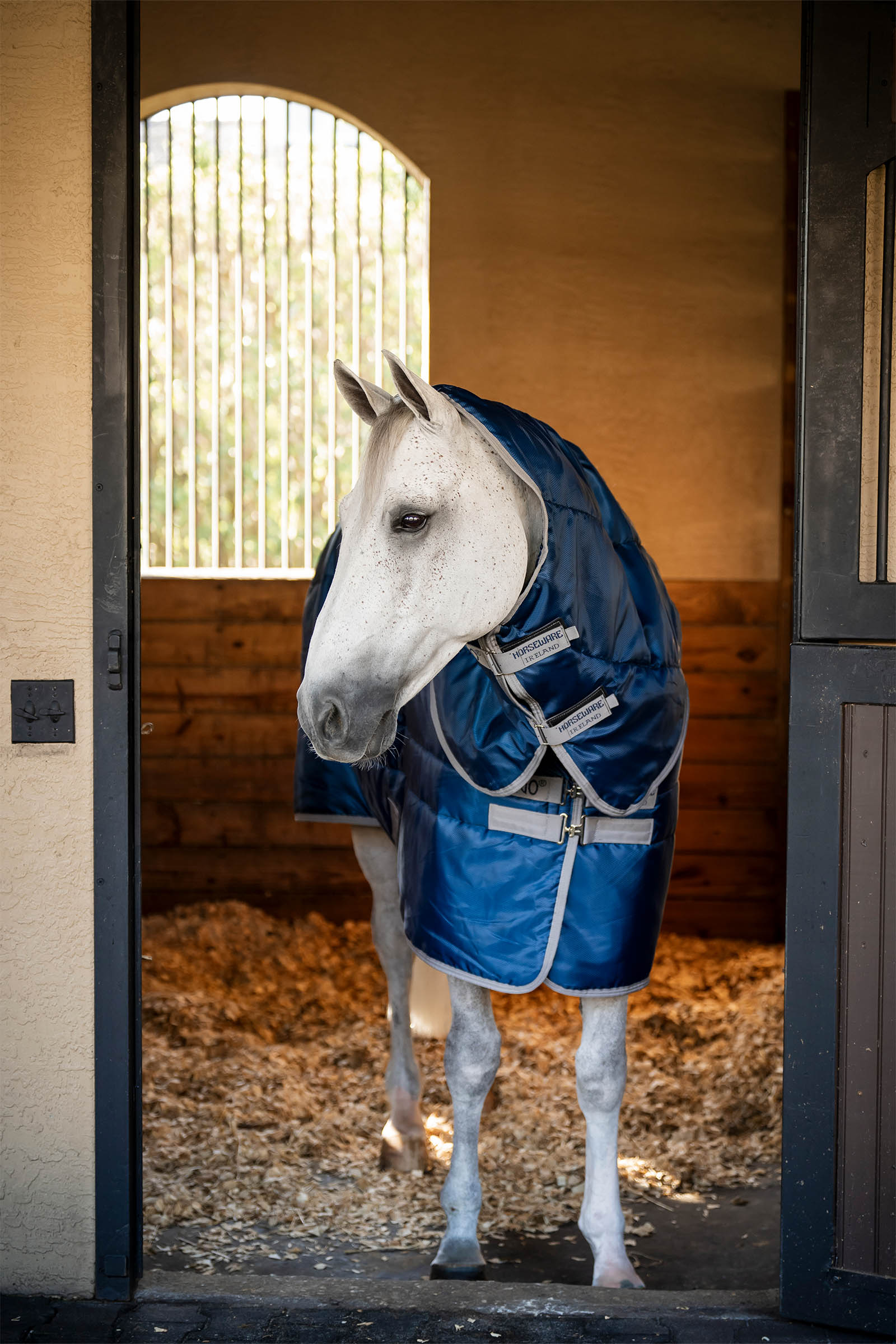 Horseware Amigo Ripstop Insulator Plus staldeken, 350 g