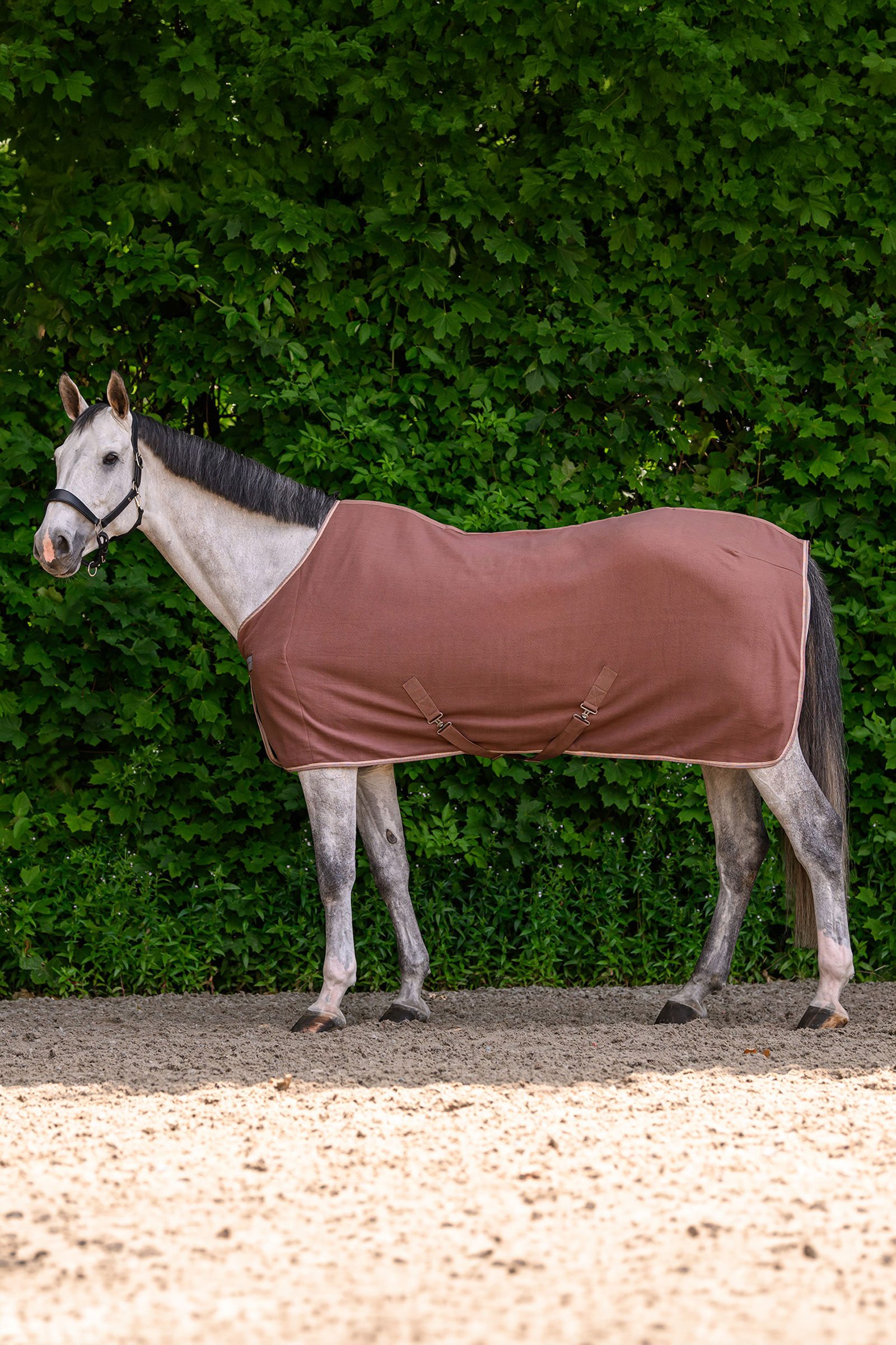 Mocca Waldhausen ECONOMIC fleecedeken met kruissingels