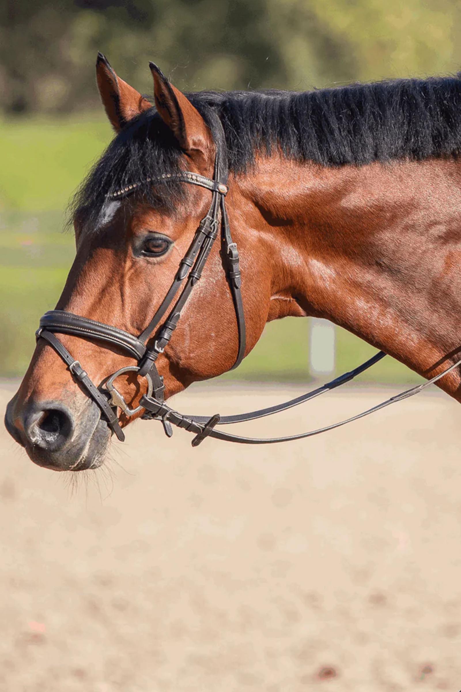 Sprenger Novocontact olijfkopbit D-ringen, dubbel gebroken, 14 mm, Sensogan