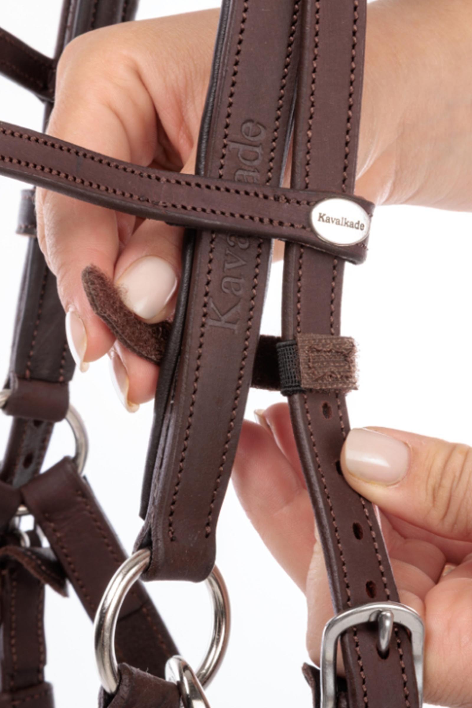 Kavalkade Artemis trektocht hoofdstel