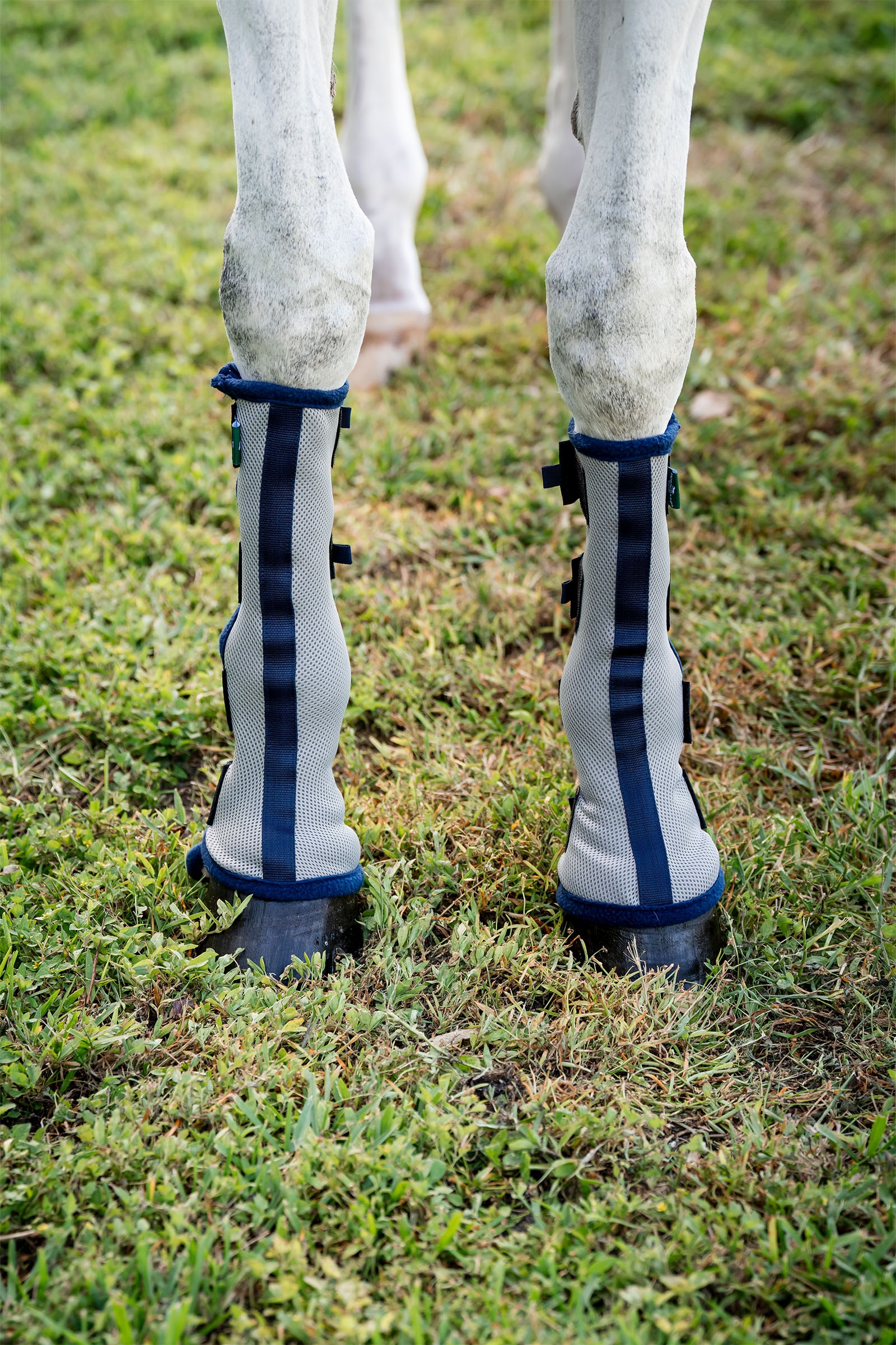 Horseware Fly Boots - set van 2