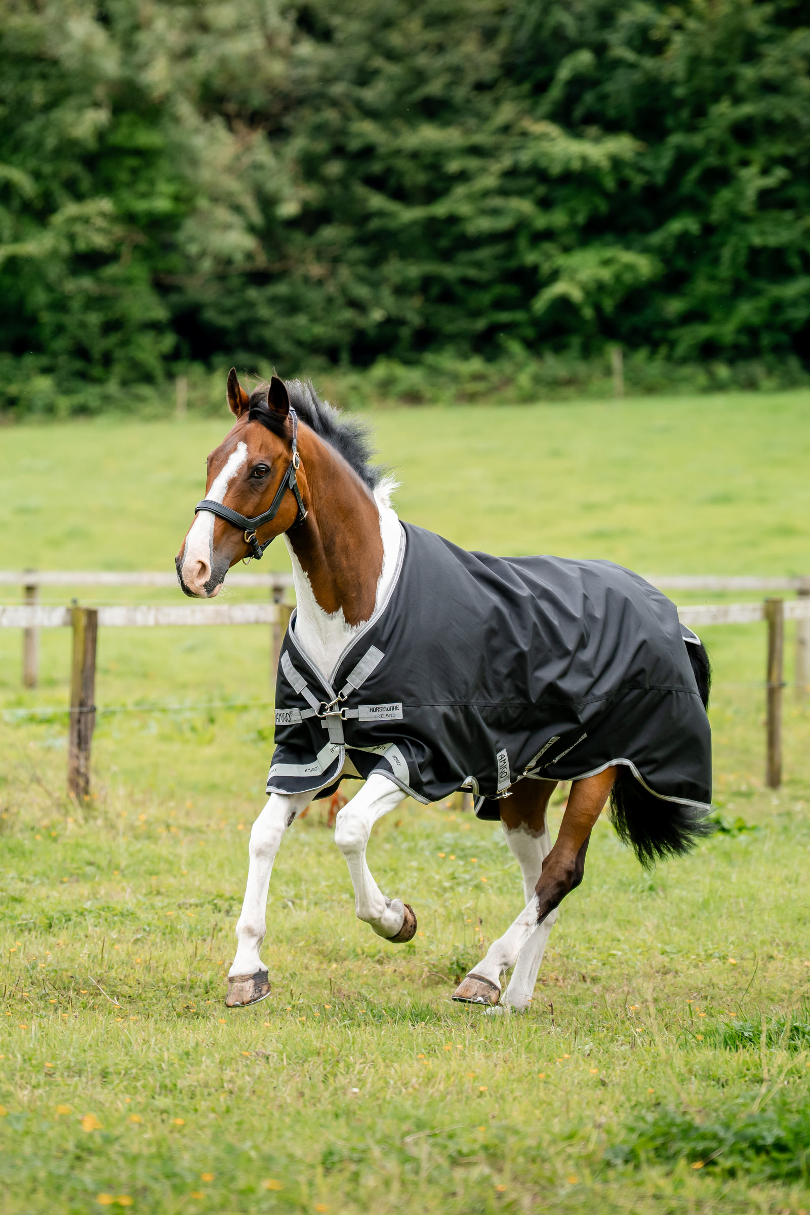 Horseware Amigo 1200D regendeken, 50 g