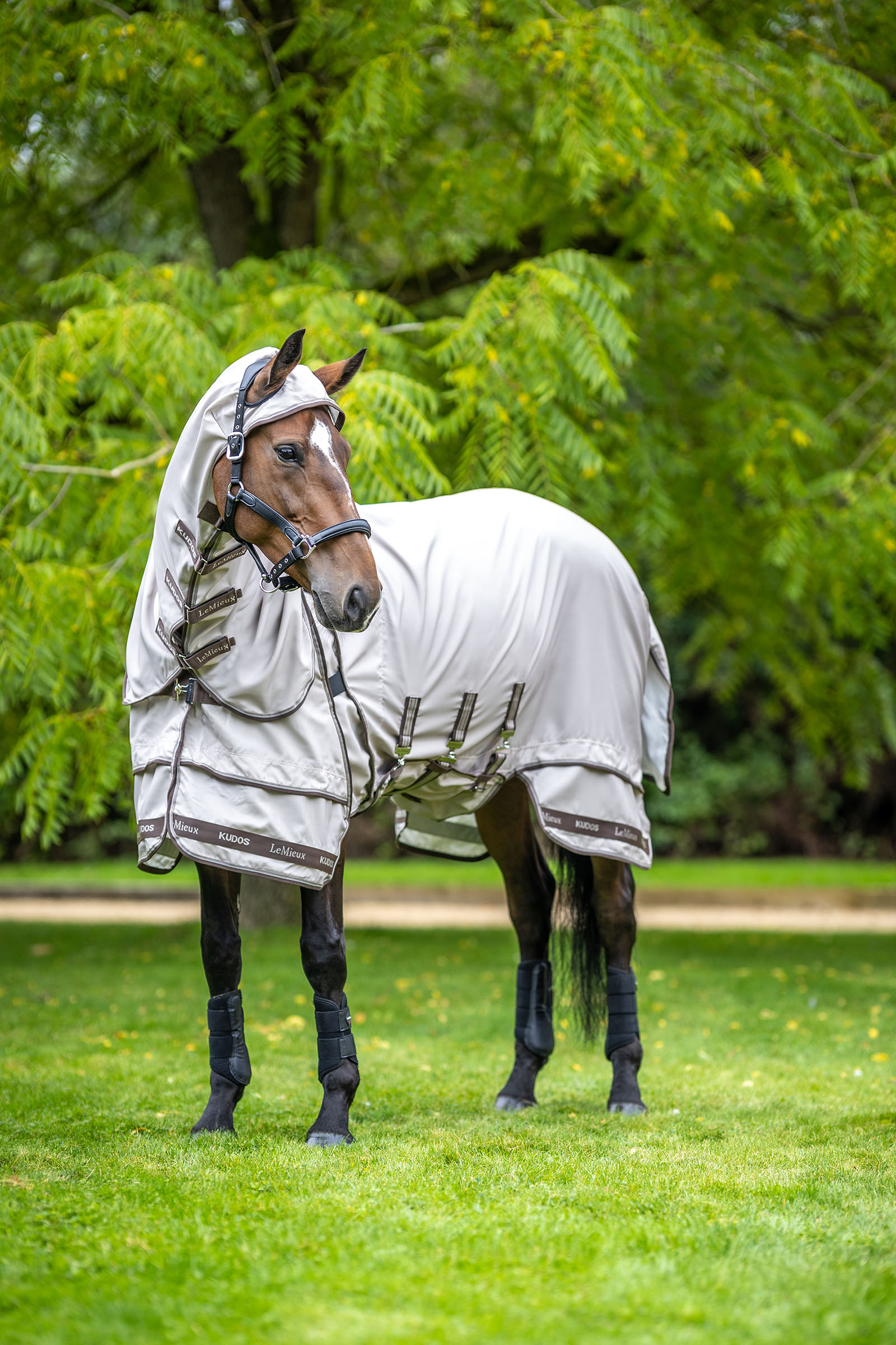 LeMieux Kudos eczeemdeken