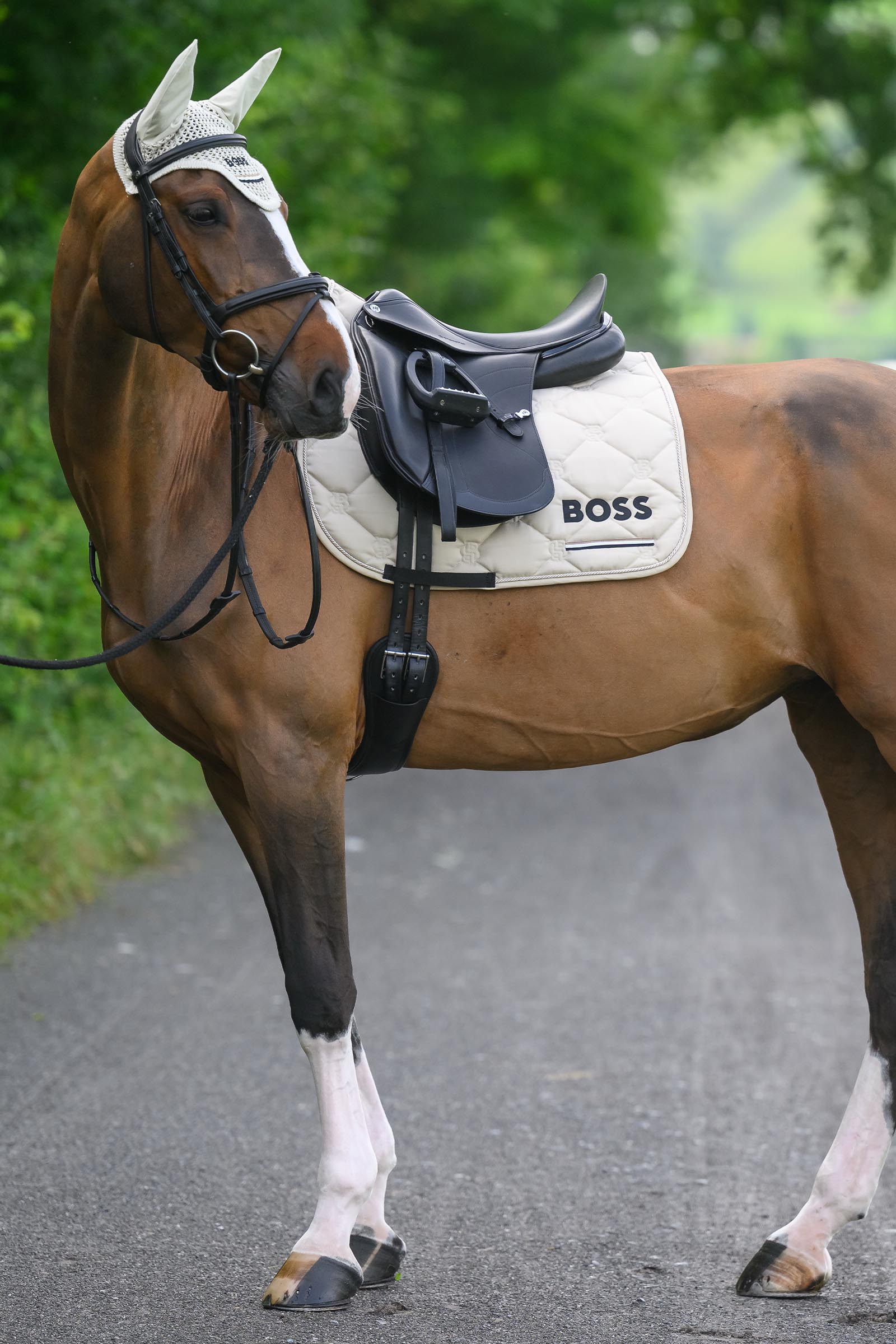 Boss Cambridge dressuurzadeldek