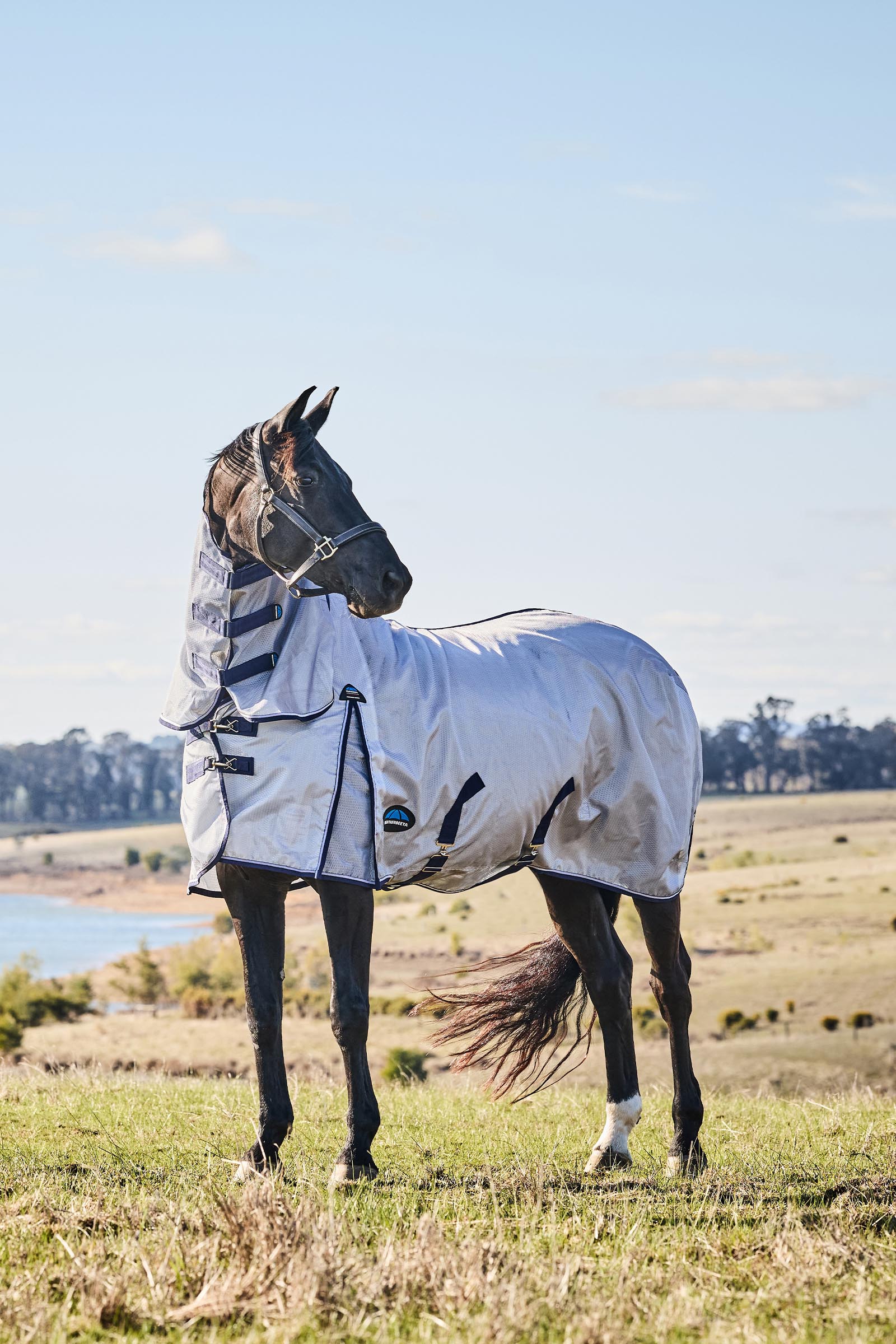 Weatherbeeta ComFiTec Hexi Shield Vliegendeken combo met vaste hals, 0 g  