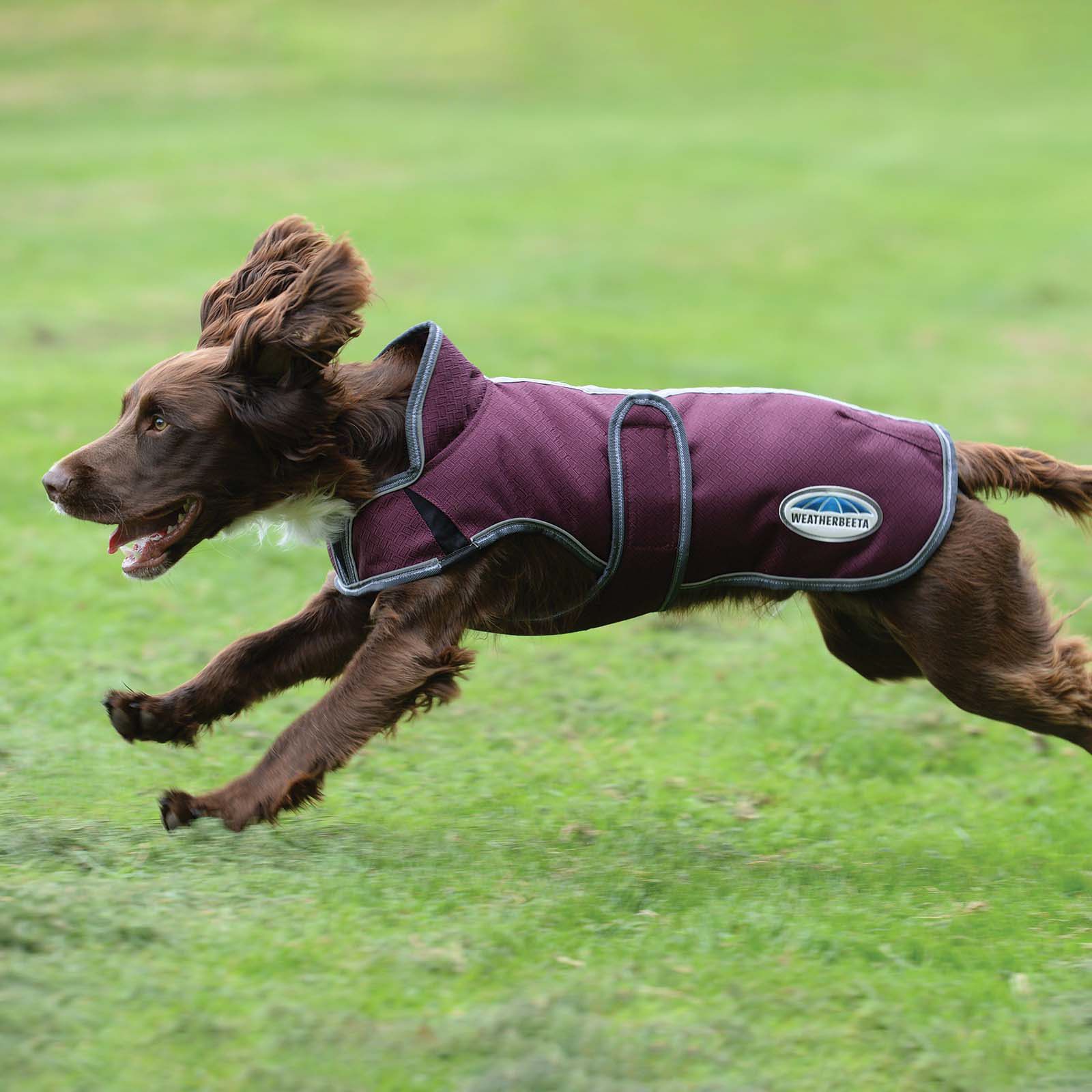 Weatherbeeta Comfitec Premier Free Parka Deluxe Dog Coat, 220g