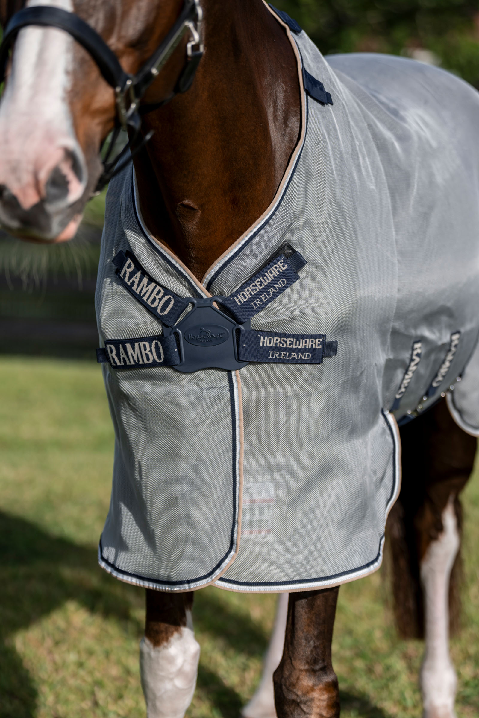 Horseware Rambo Protector Fieldsafe Plus regendeken