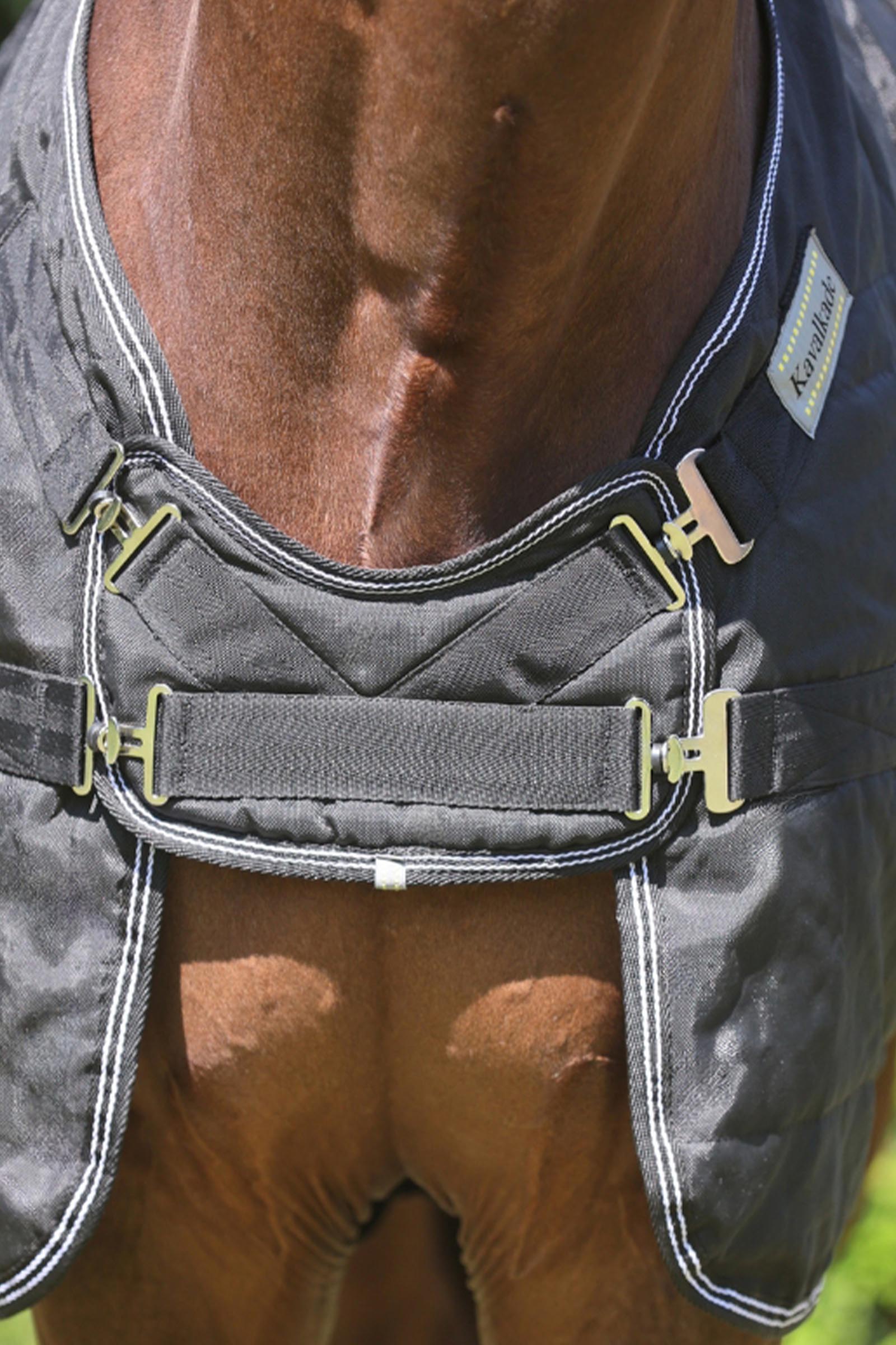 Kavalkade Stallion deken met borstflap, 200 g