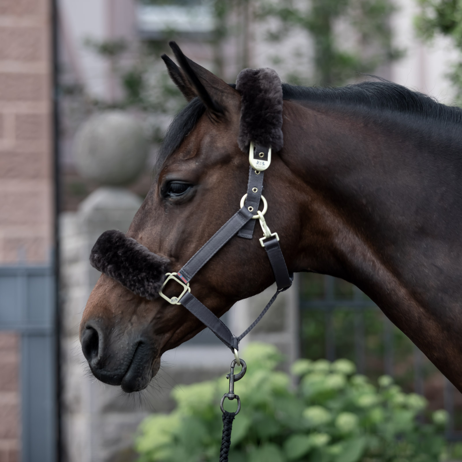 B Vertigo Laurier Halster met lamsvel