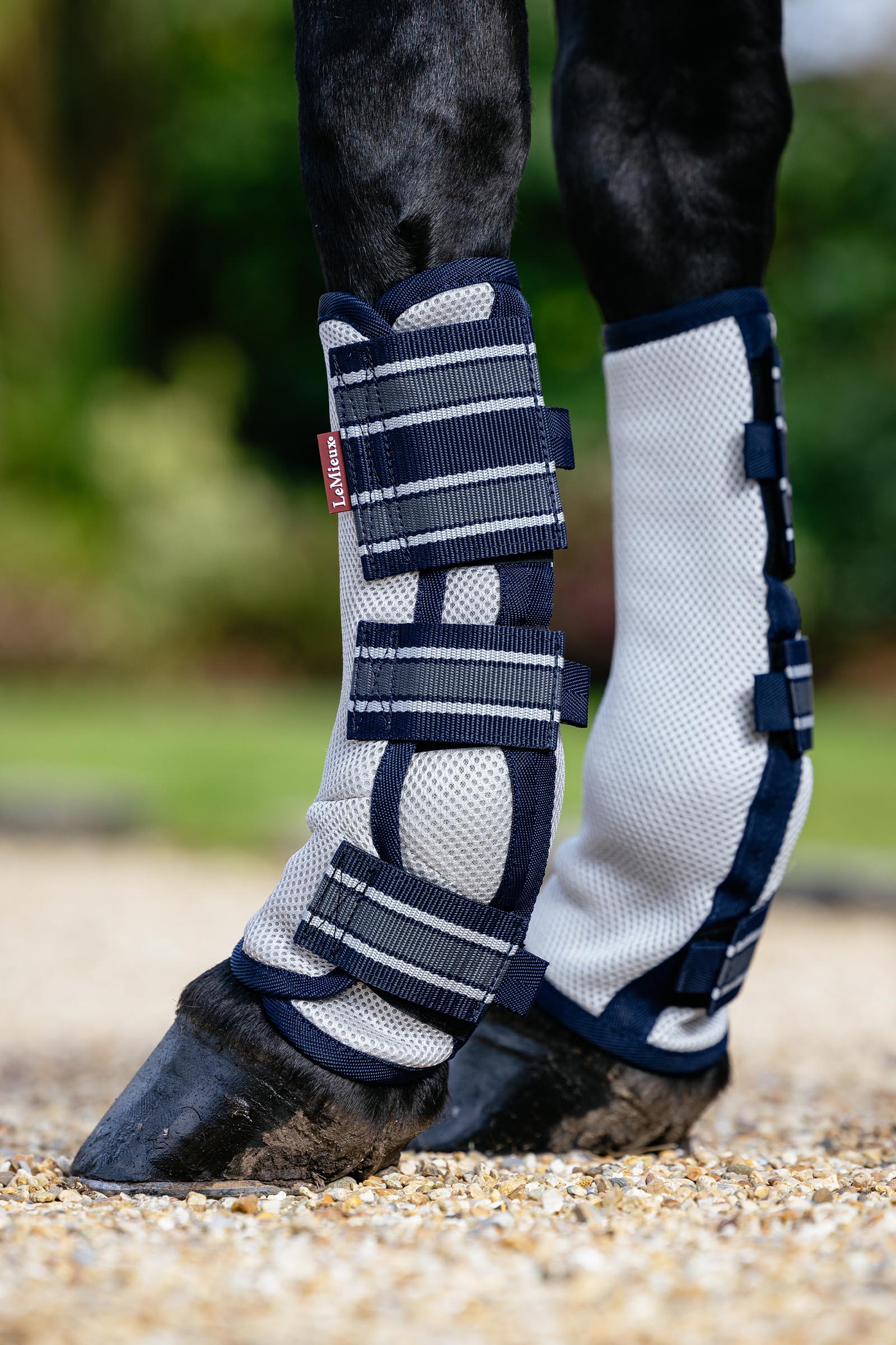 LeMieux Arika mesh vliegenbeschermers set van 4