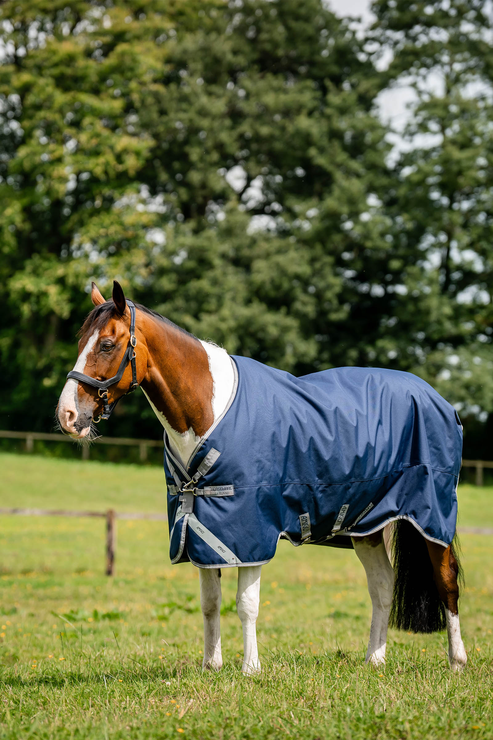 Horseware Amigo 1200D turnoutdeken, 100 g