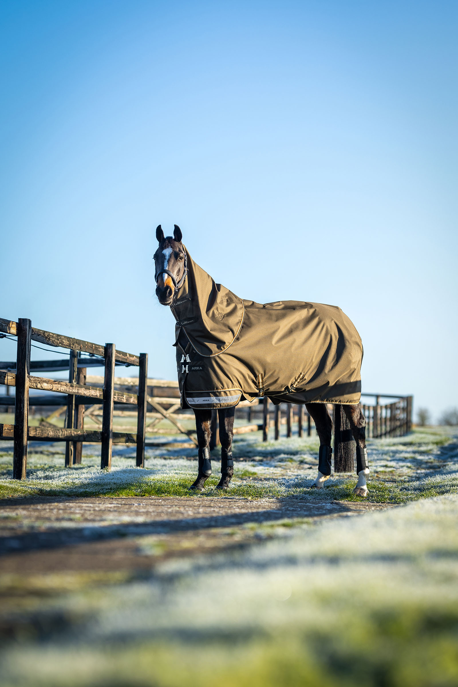 LeMieux Arika ripstop regendeken met afneembare hals 50 g