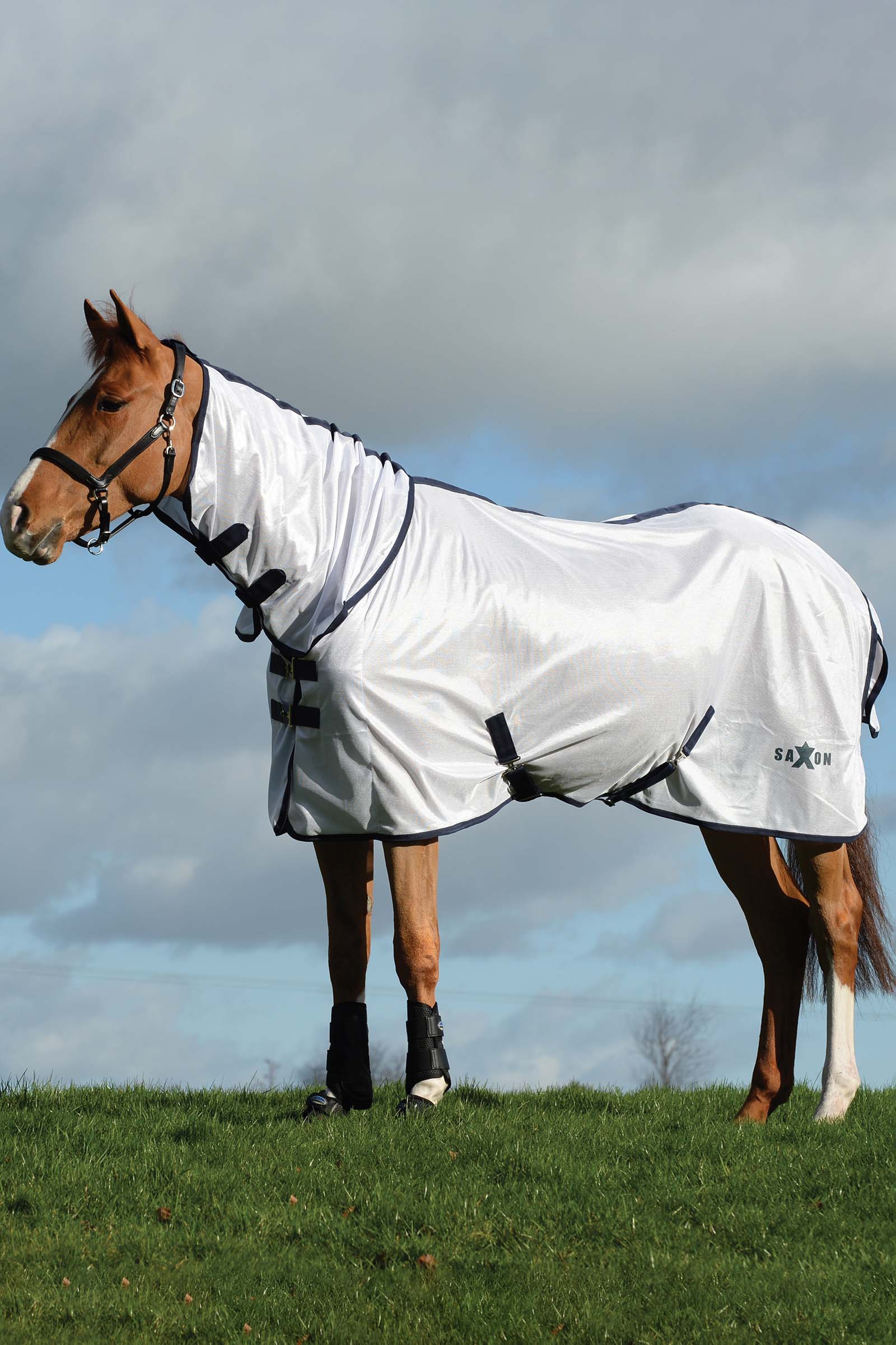 Saxon Gaasstof Combo Deken