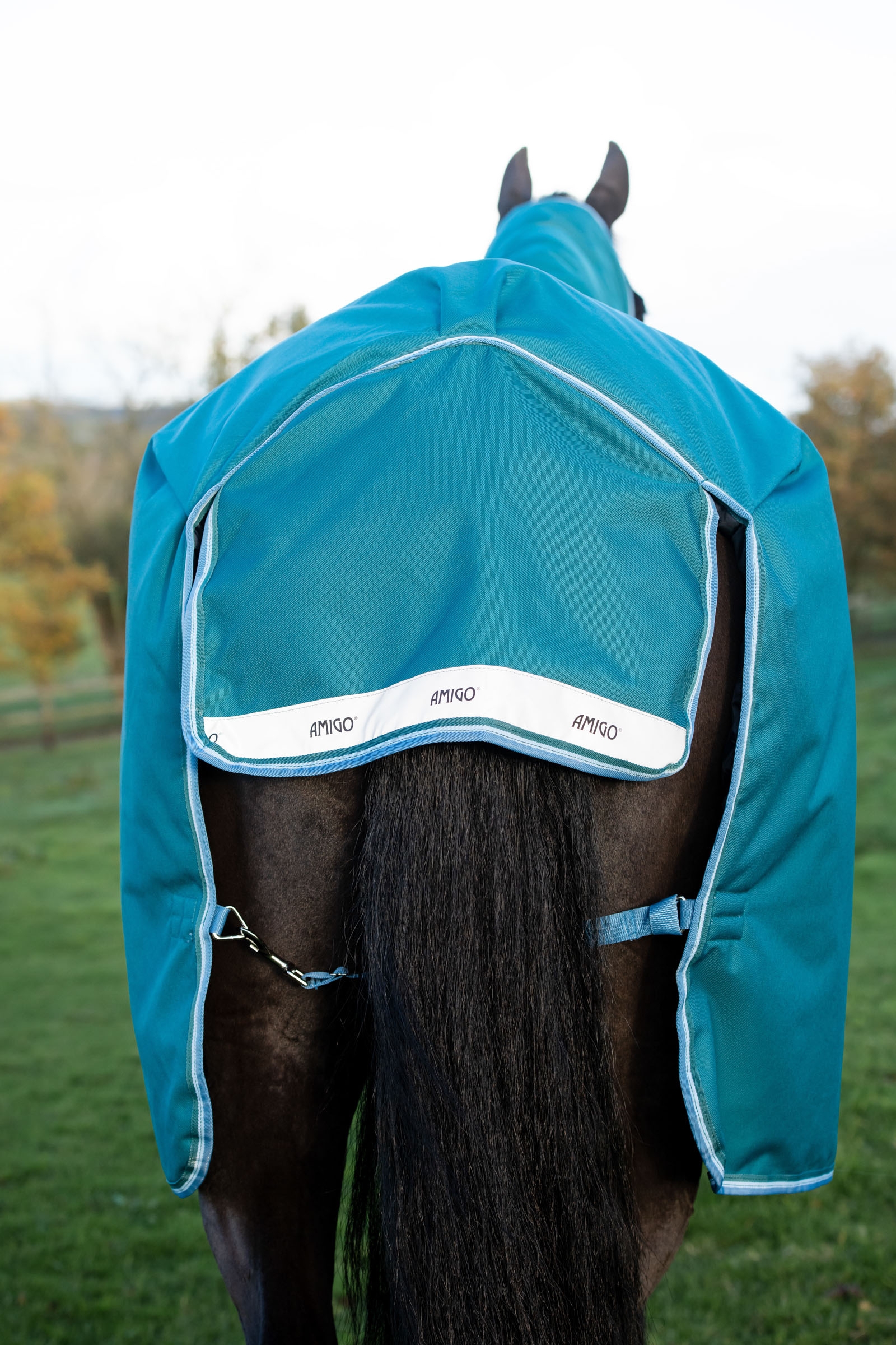 Horseware Amigo Bravo 12 Plus outdoordeken met afneembare hals, 400g