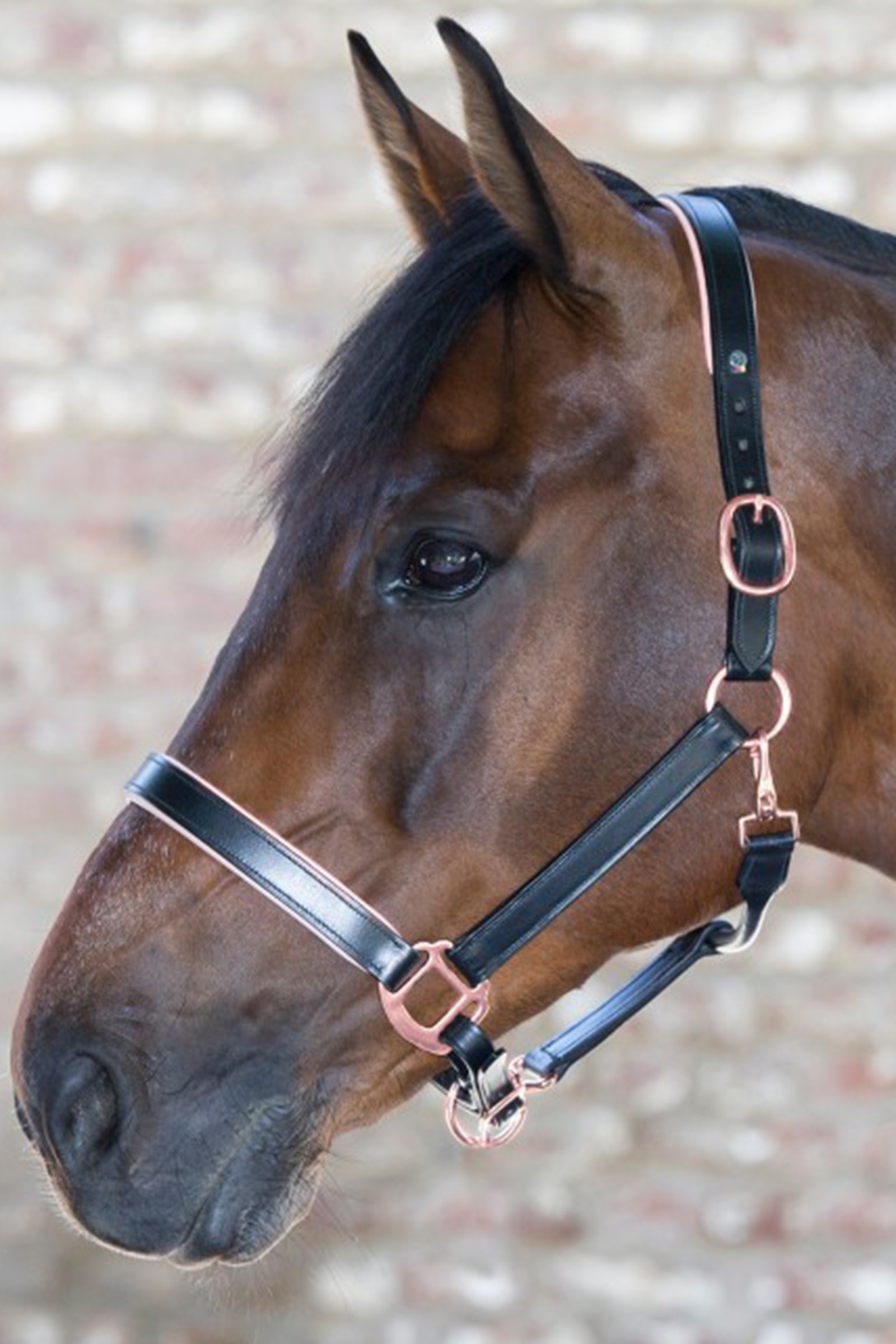 Waldhausen X-Line Leather Halter Ros&eacute;