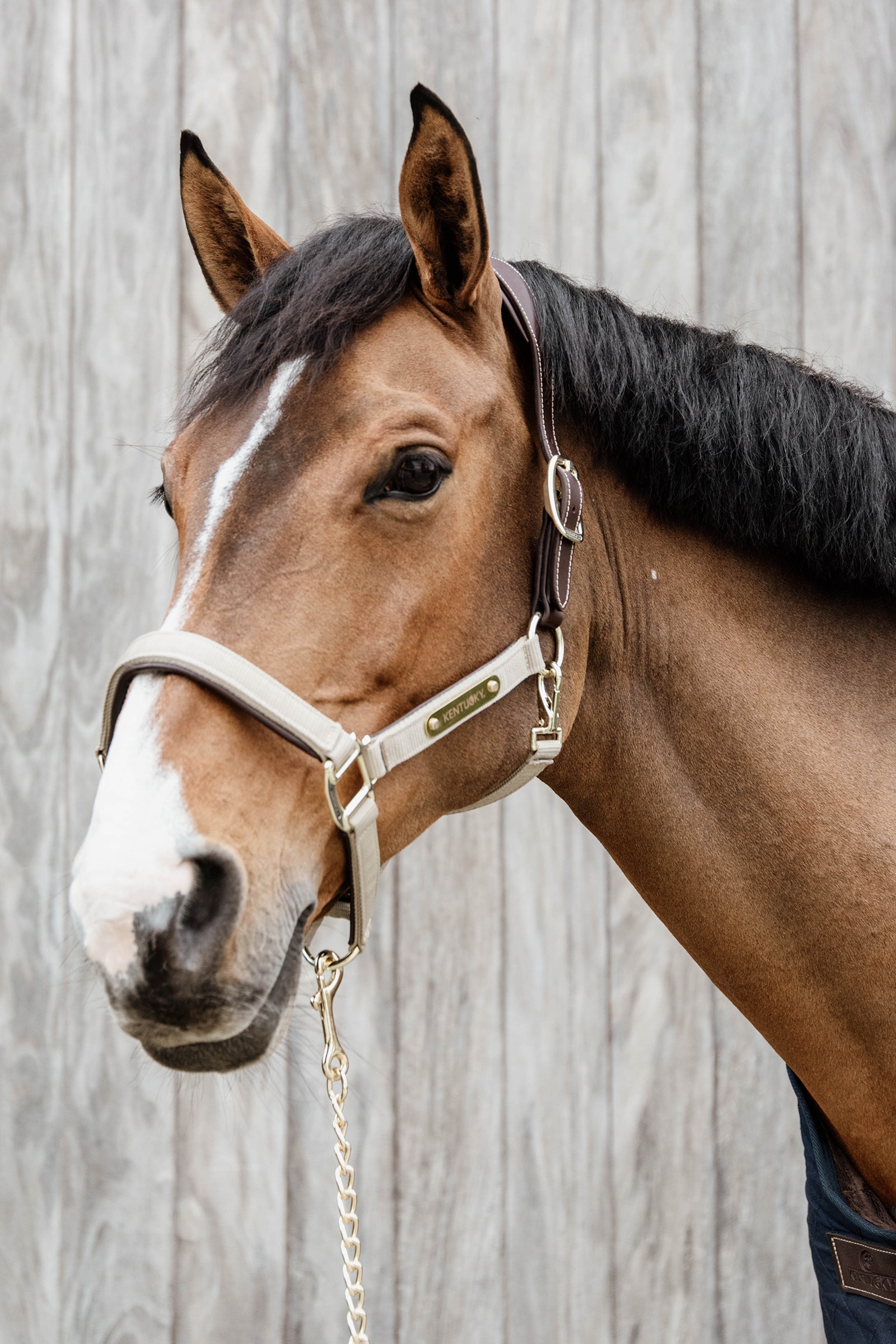 Kentucky Horsewear  Nylon Anatomisch Halster