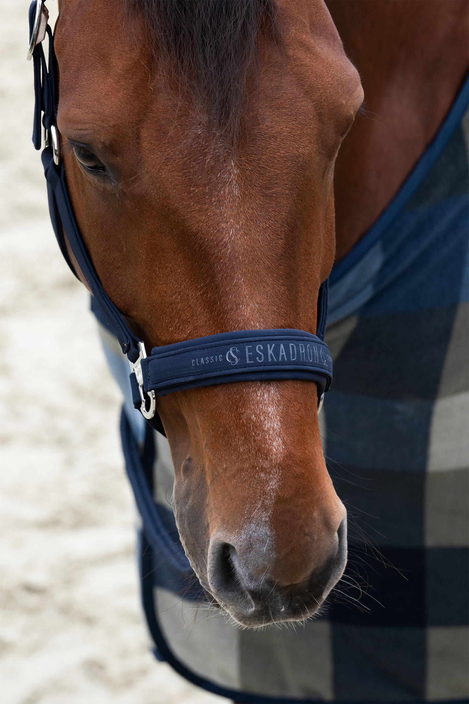 Eskadron Classic Sports SS25 Softshell Double Pin halster