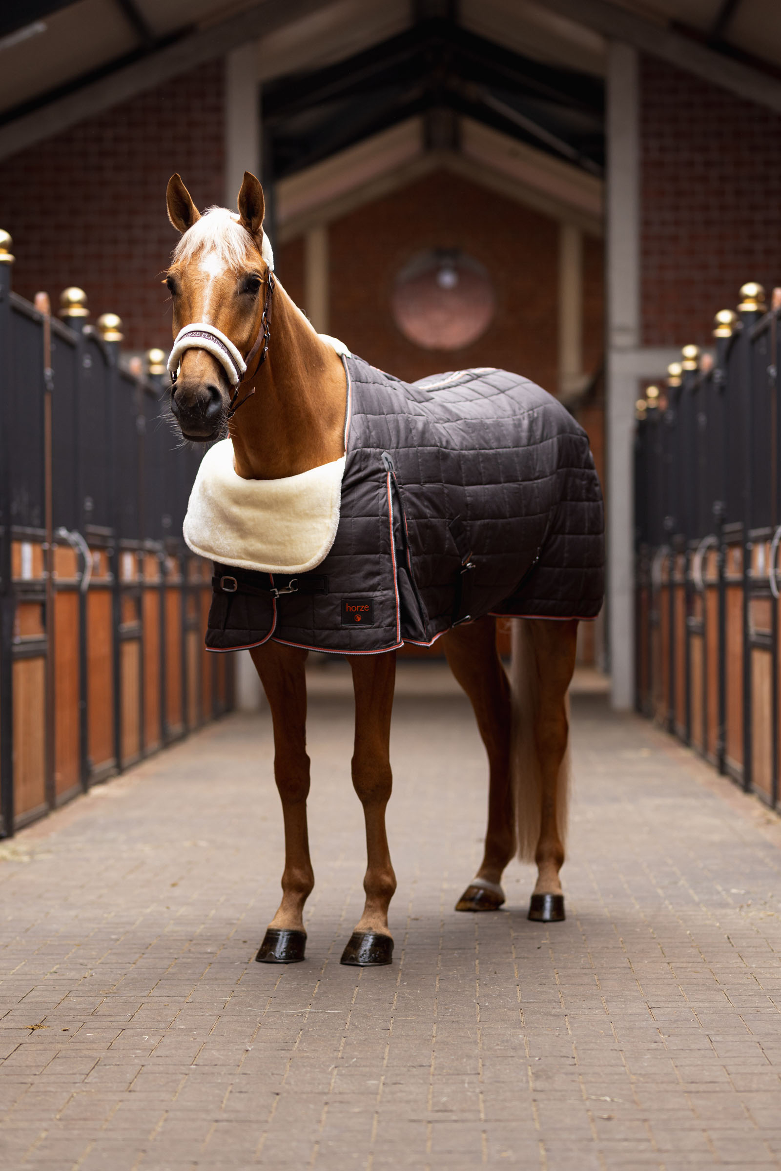 Horze Comfort schouderbeschermer