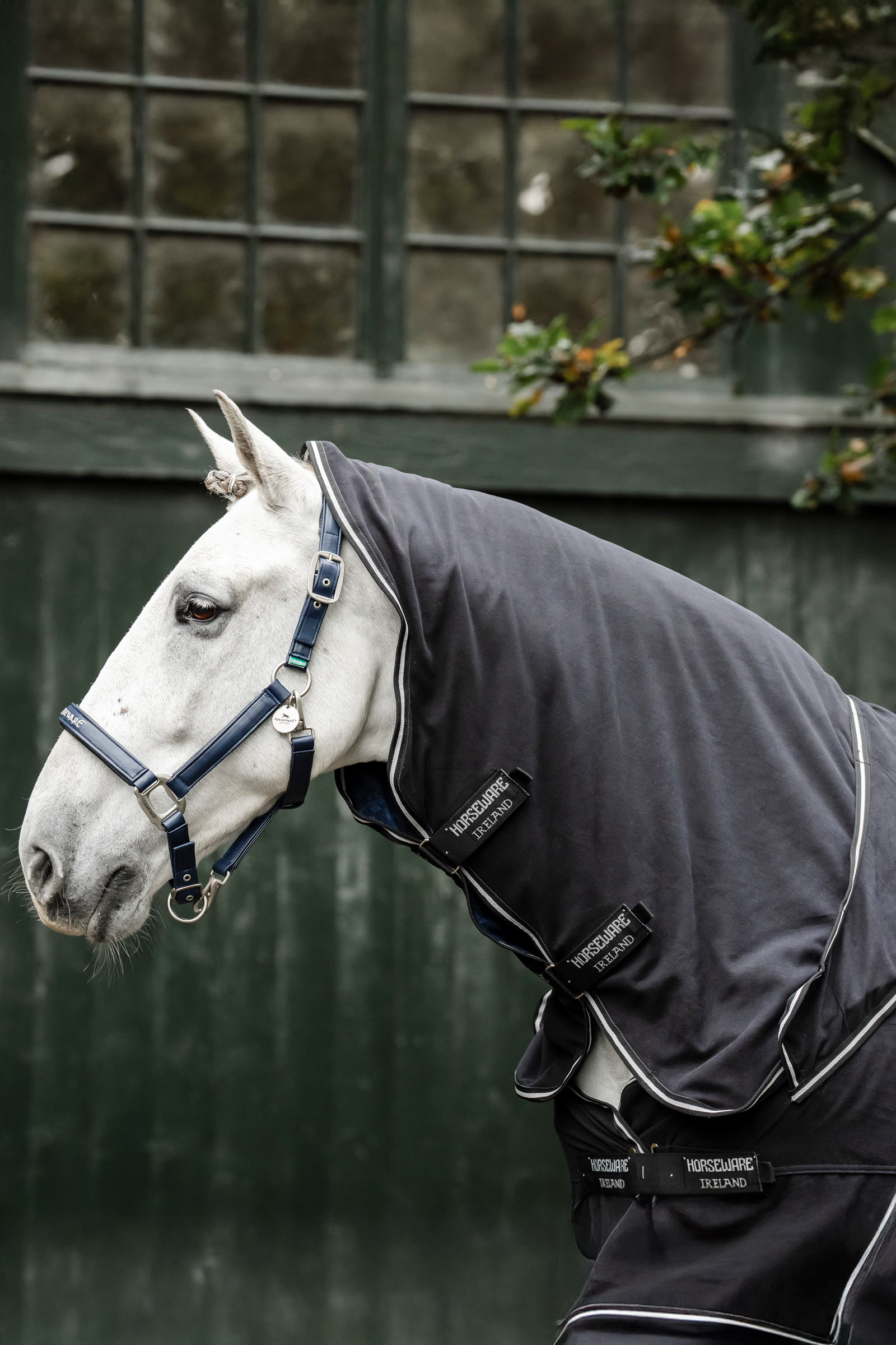 Horseware Show Ready deken