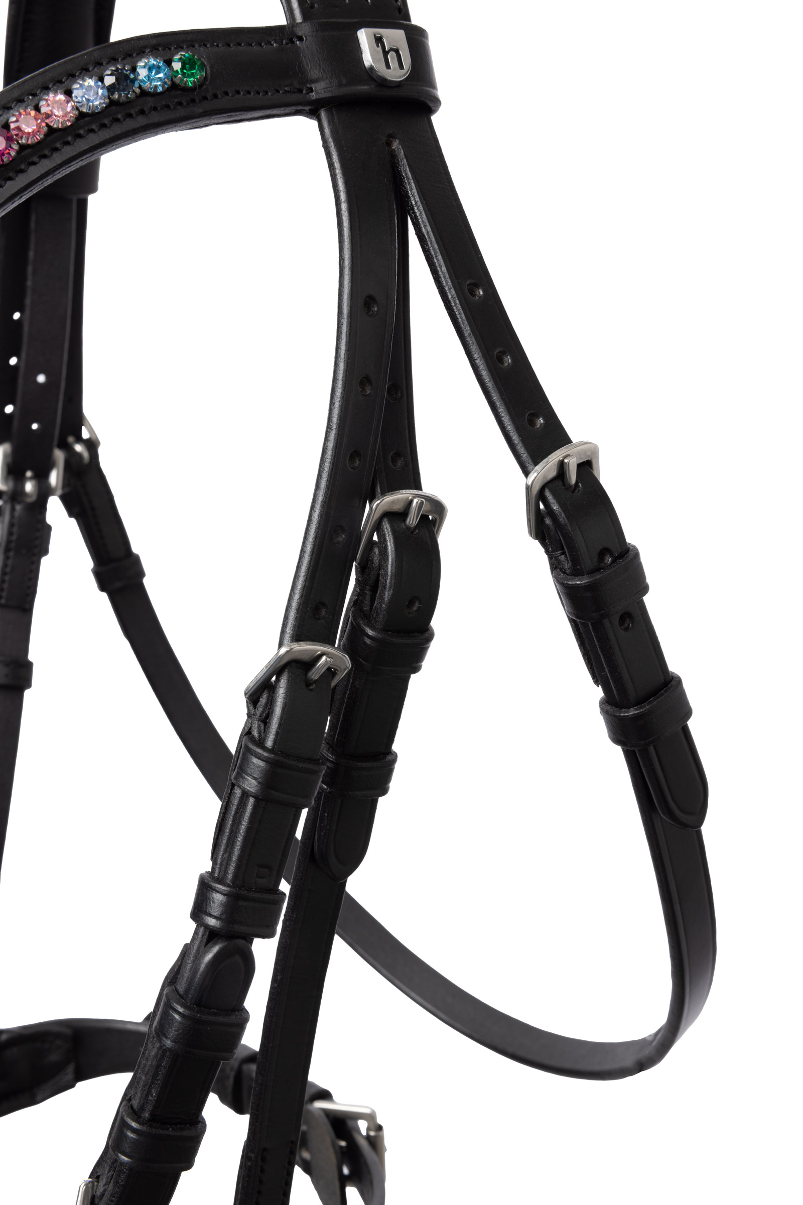 Horze Rainbow Dash pony hoofdstel