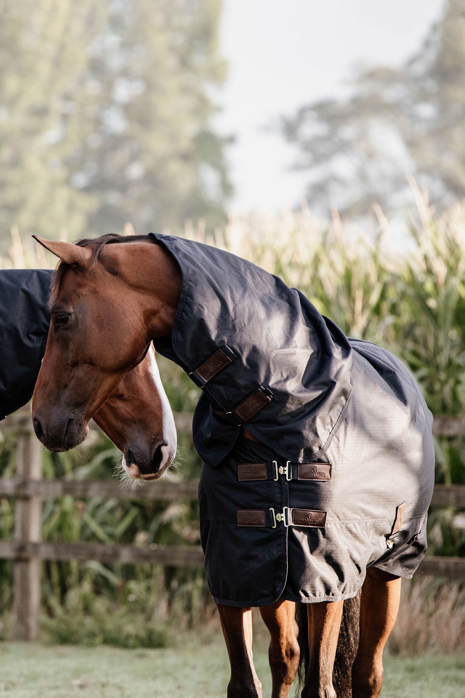 Kentucky Horsewear Turnout Rug All Weather Waterproof Classic, 0g