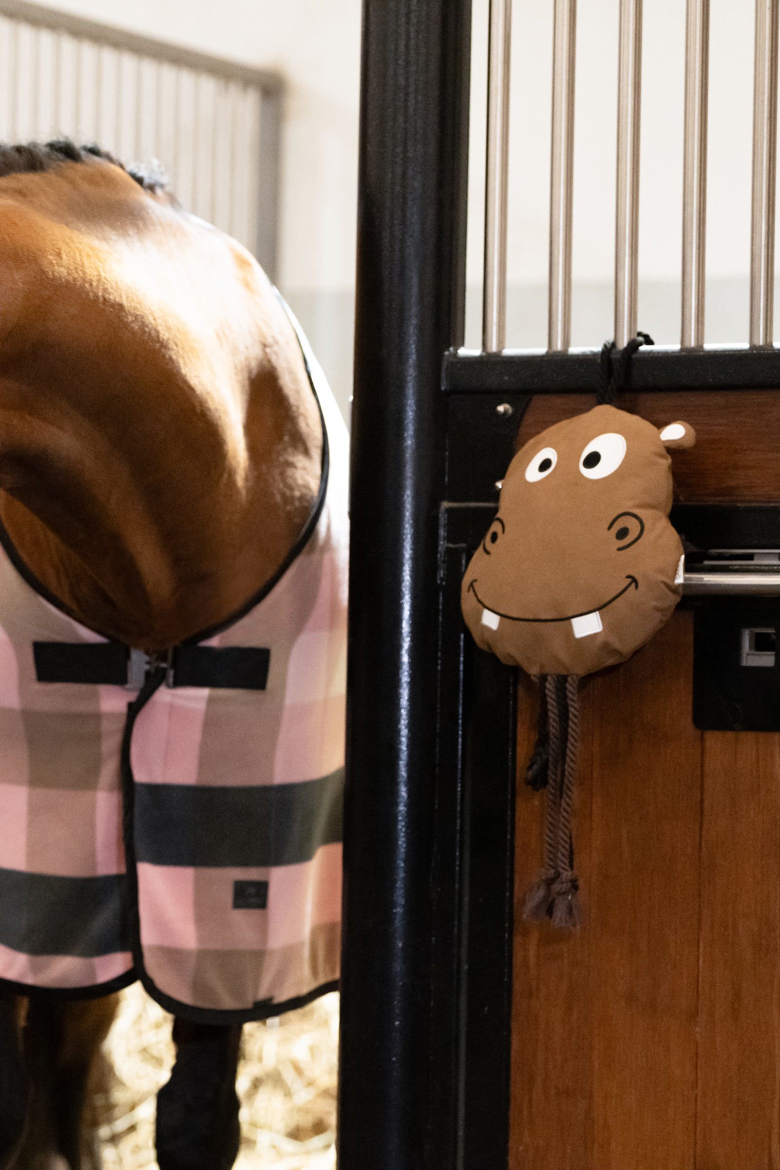 Eskadron Platinum 25 Nijlpaard Paard Speelgoed