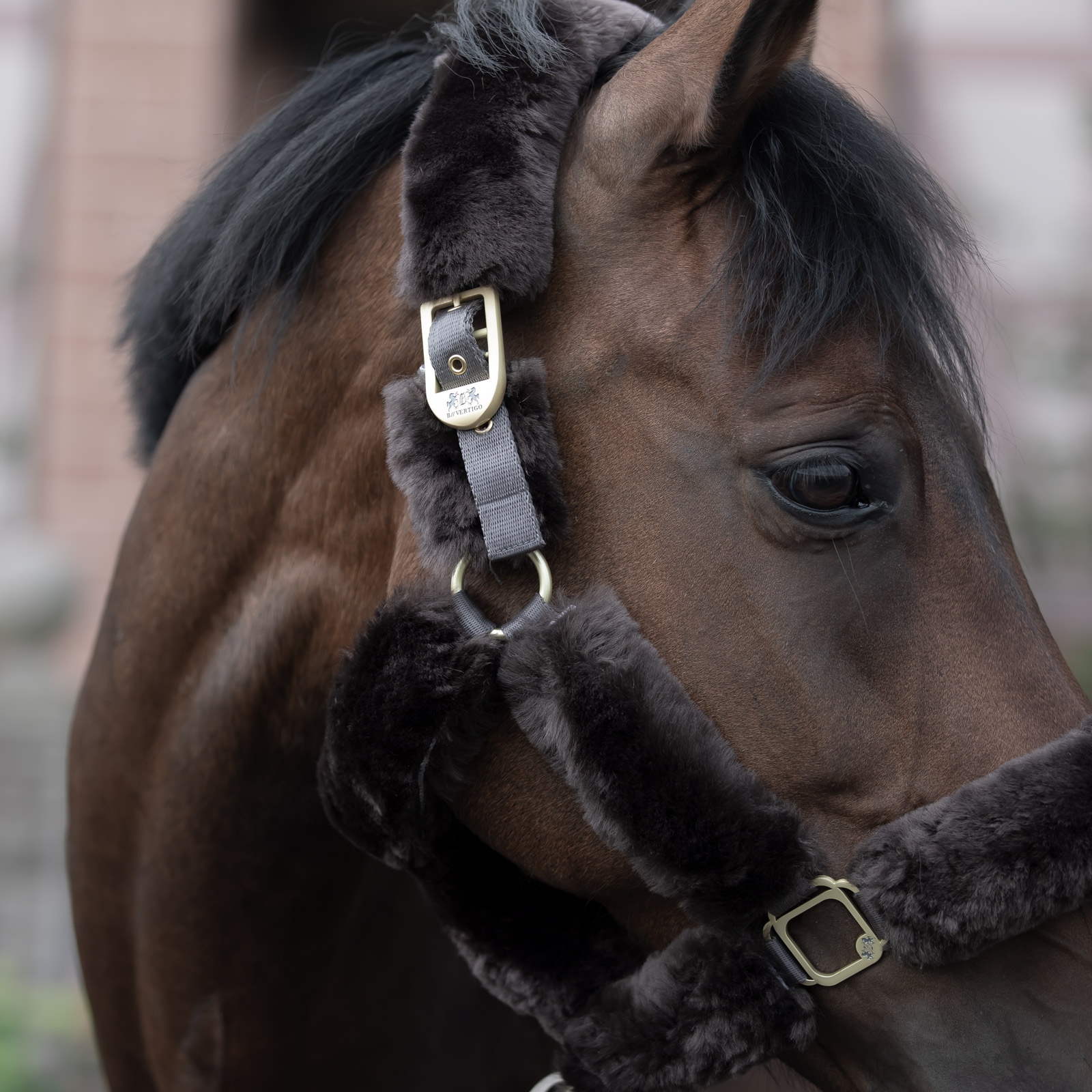 B Vertigo Tremblant Halster met lamsvel