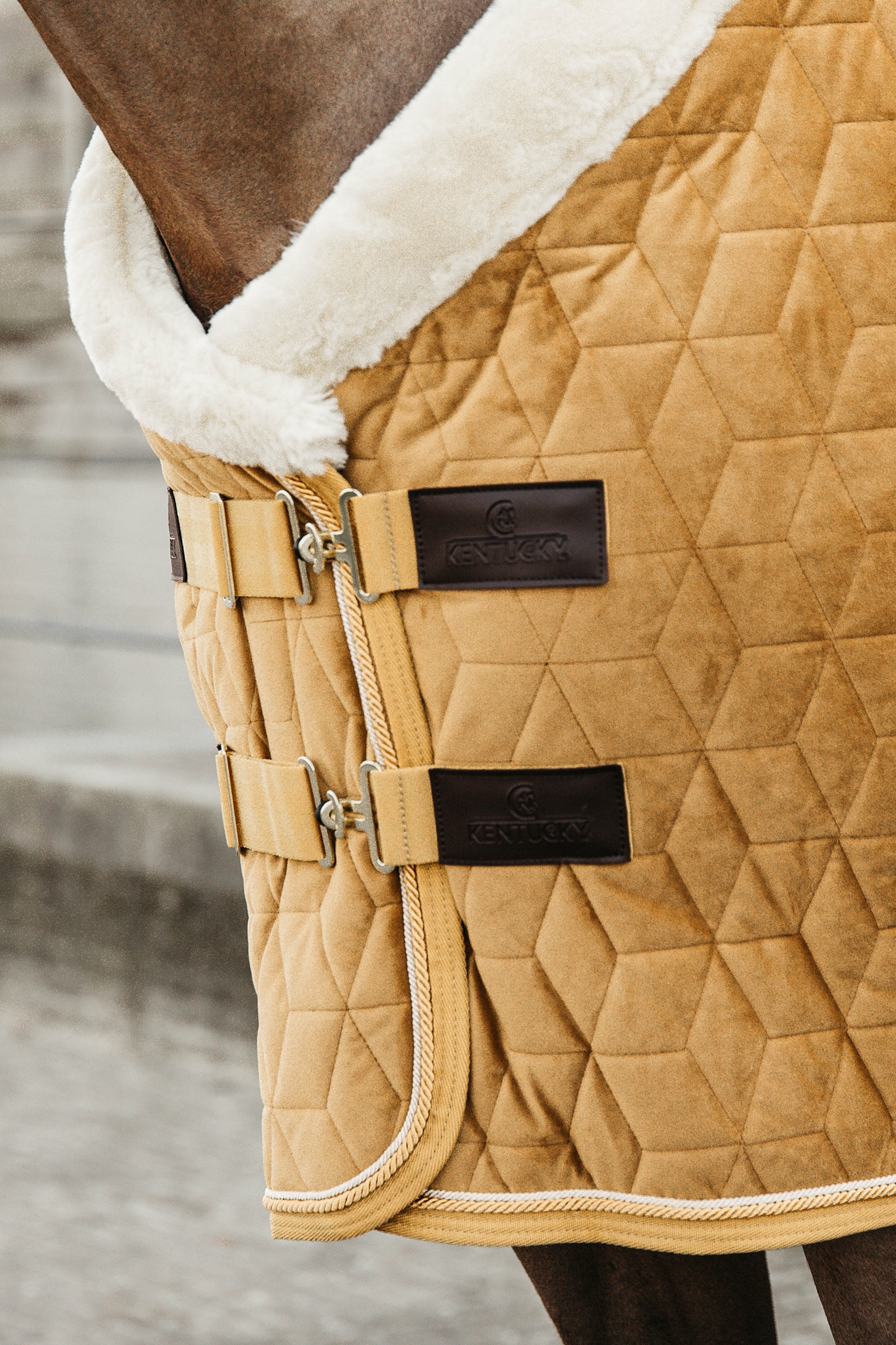 Kentucky Horsewear Pony Showdeken Velvet, 160g