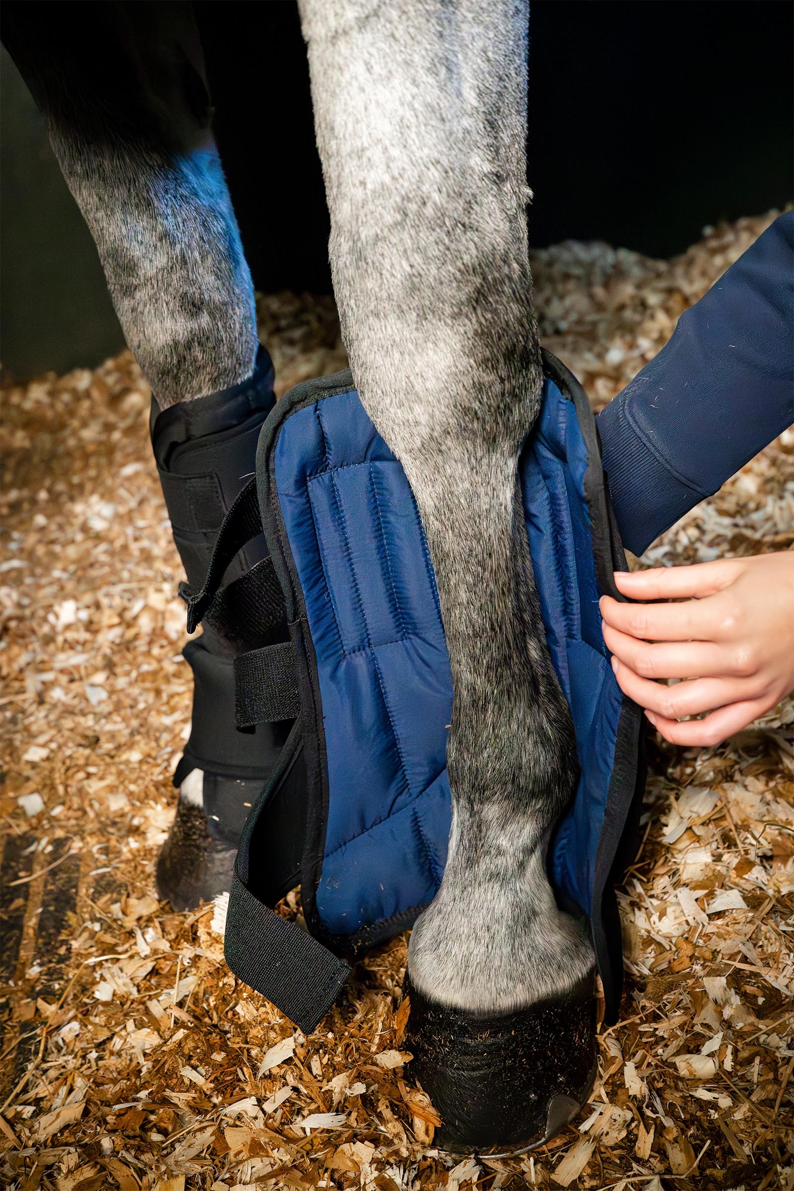 Horseware stalbeschermers Ionic liner