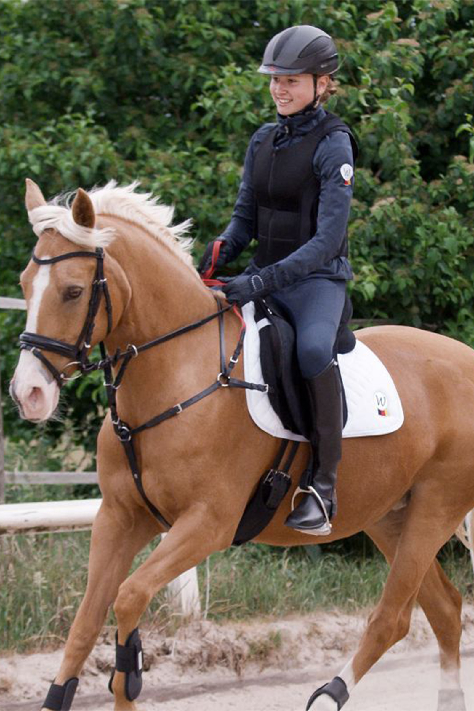 Waldhausen Secutrust Borsttuig met veiligheidstouwen