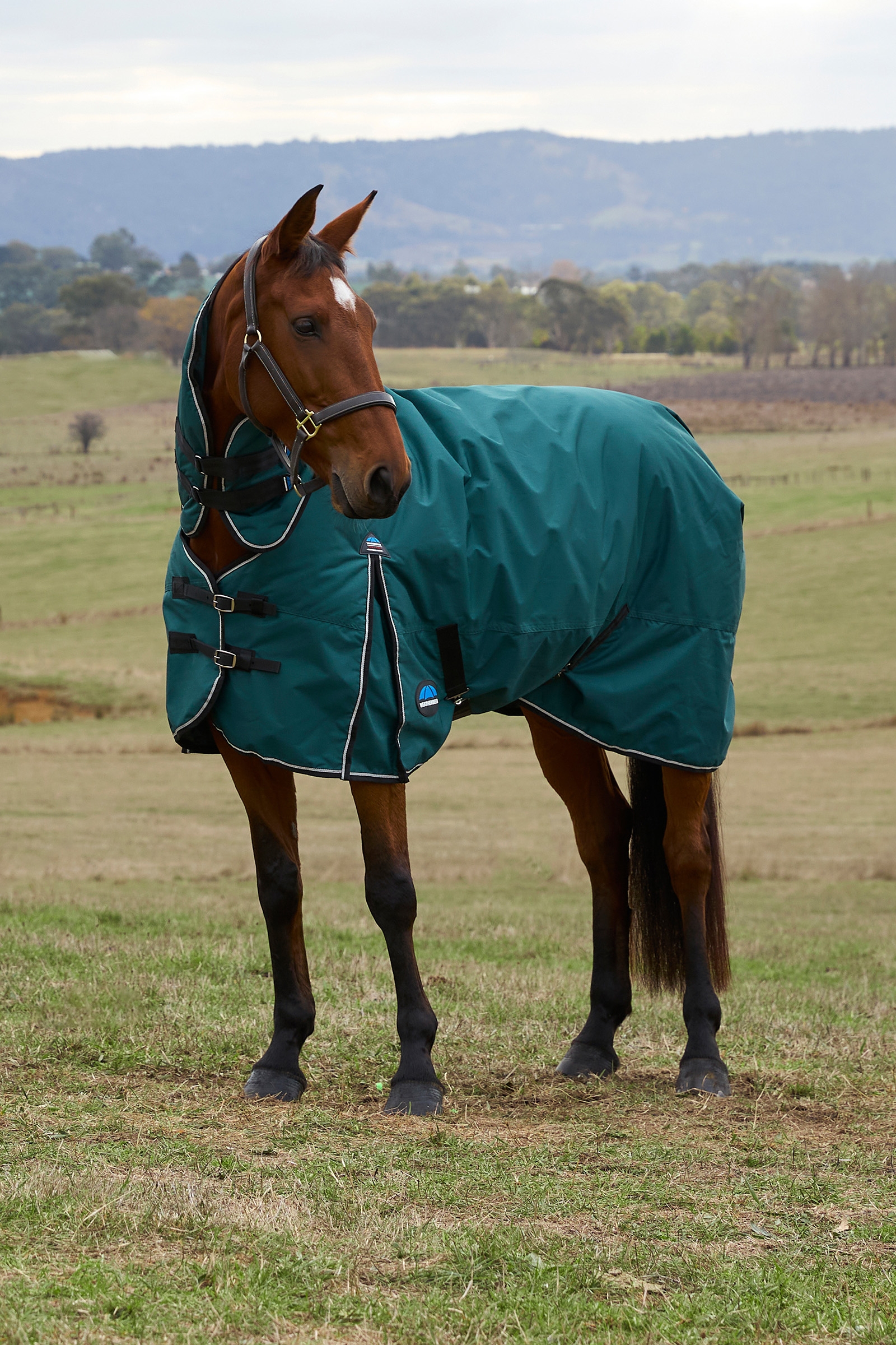 Weatherbeeta ComFiTec Classic Turnout Combo Neck 360G