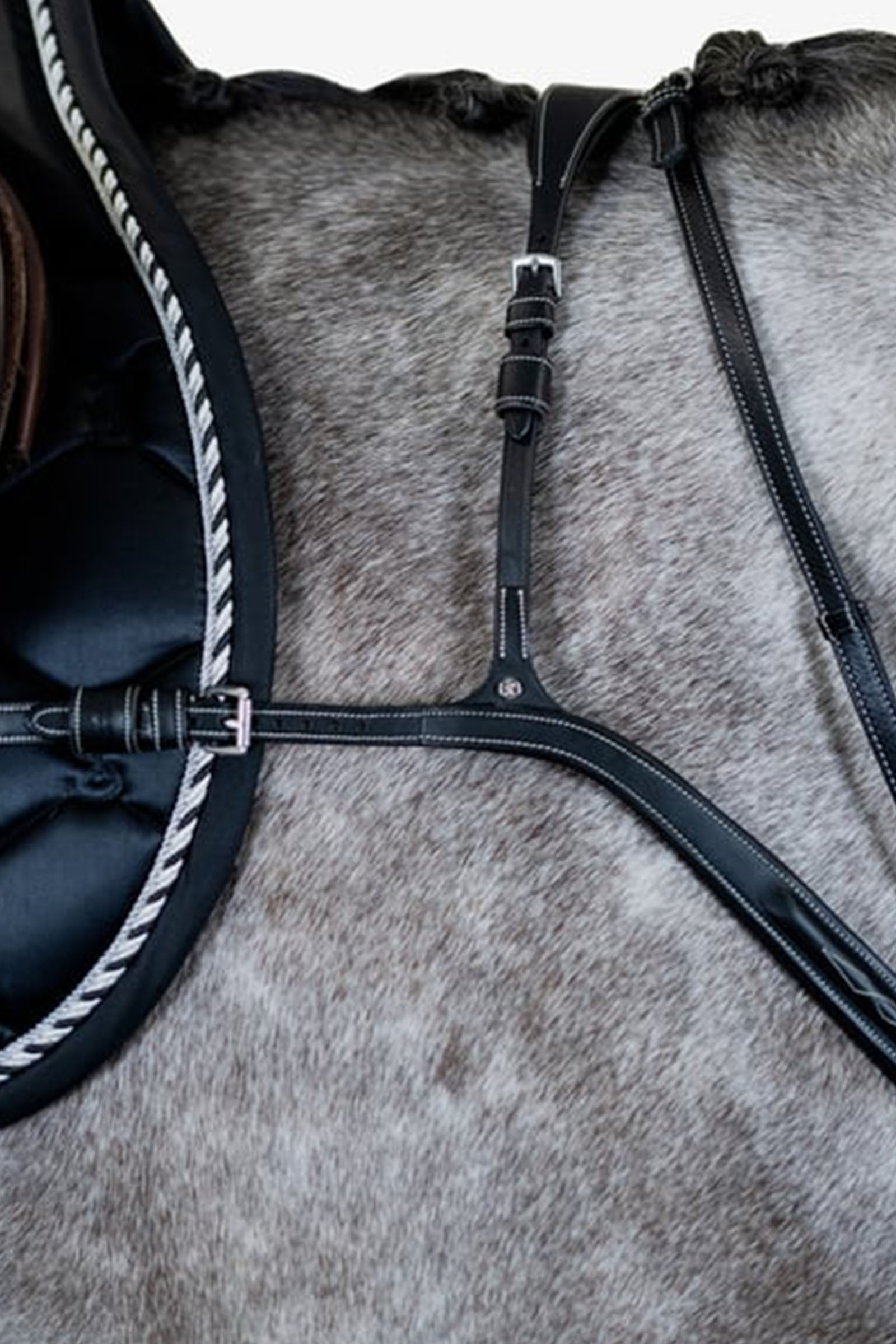 PS of Sweden borstplaat Tokyo