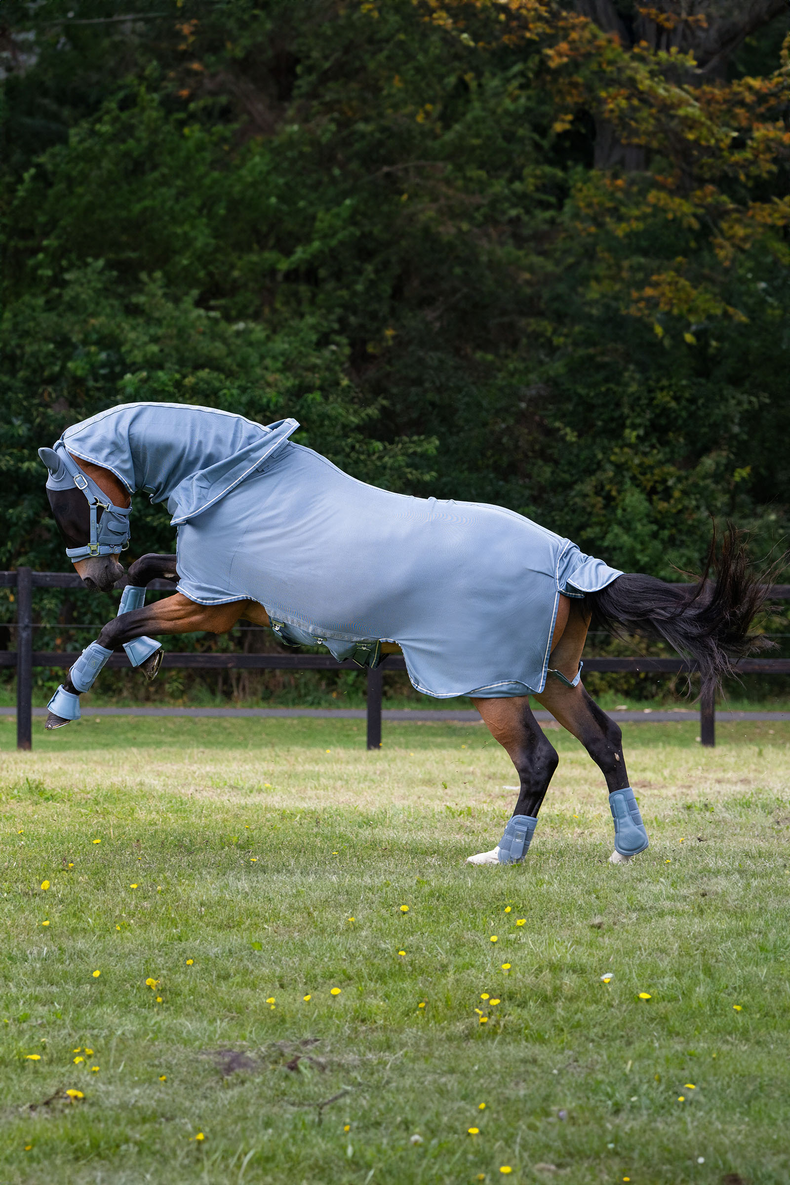 Eskadron Classic Sports SS25 Fly Detach-Neck vliegendeken