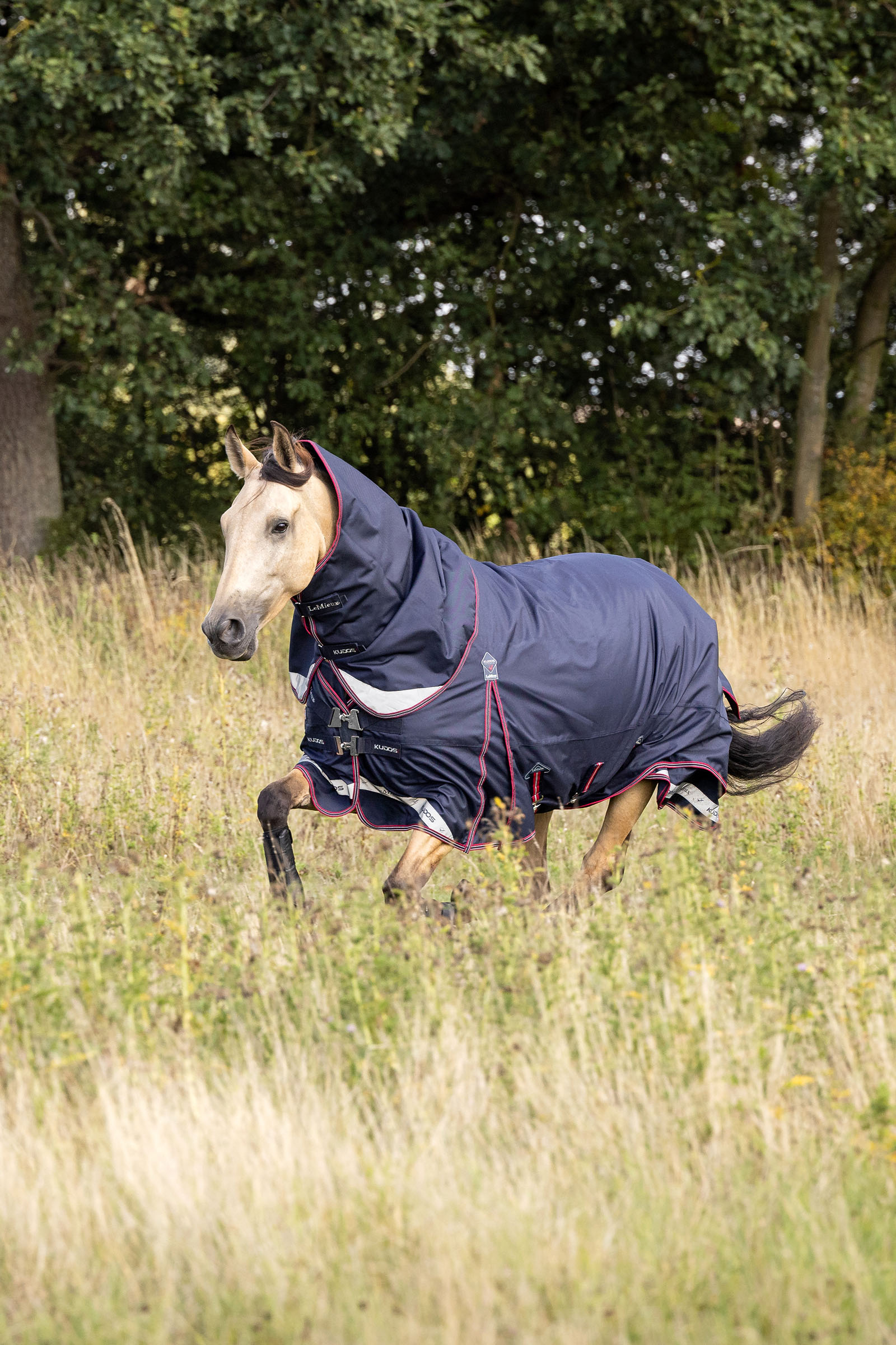 LeMieux Kudos lichte regendeken 100g