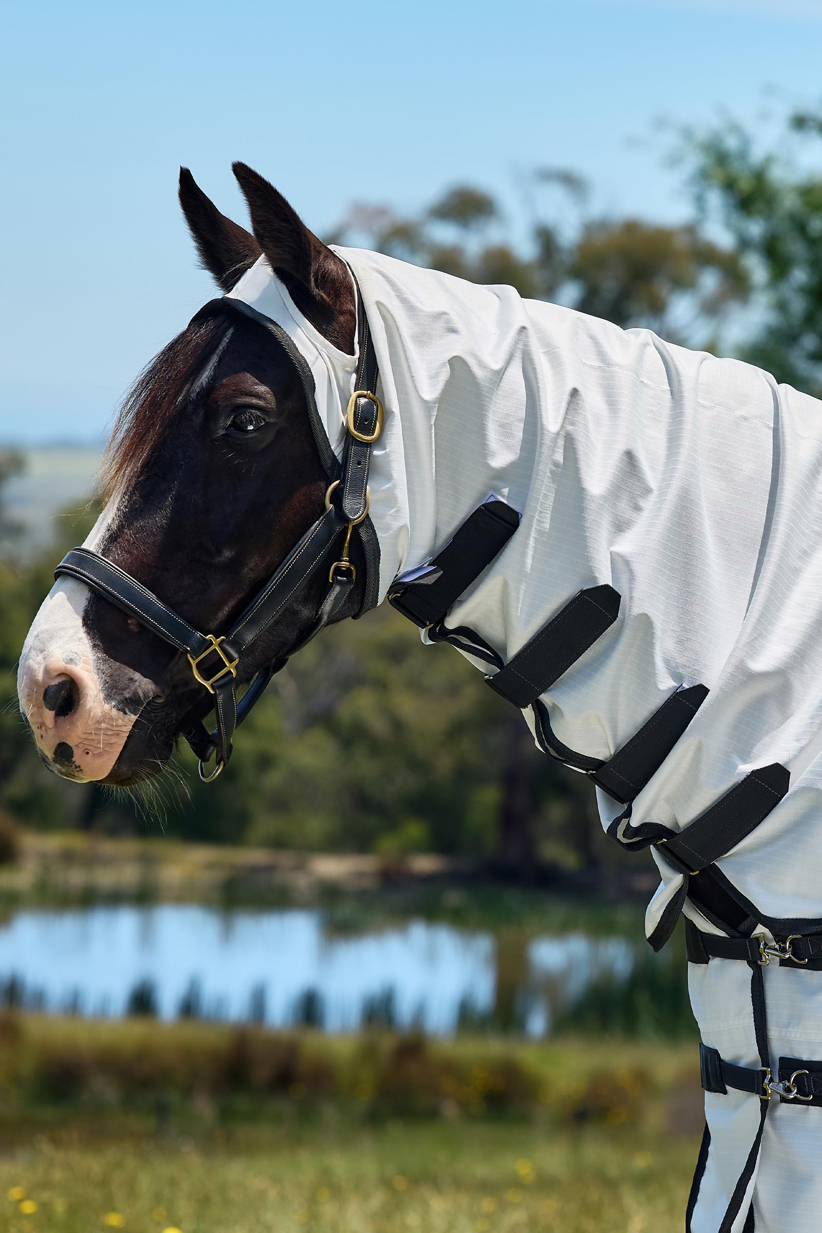 Weatherbeeta ComFiTec Sweet Itch Shield Vliegendeken combo met vaste hals, 0 g  