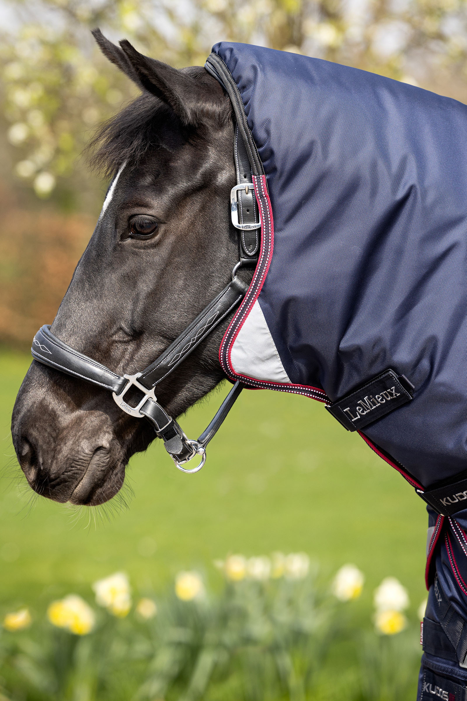 LeMieux Kudos Thermo Layer outdoordeken 100g