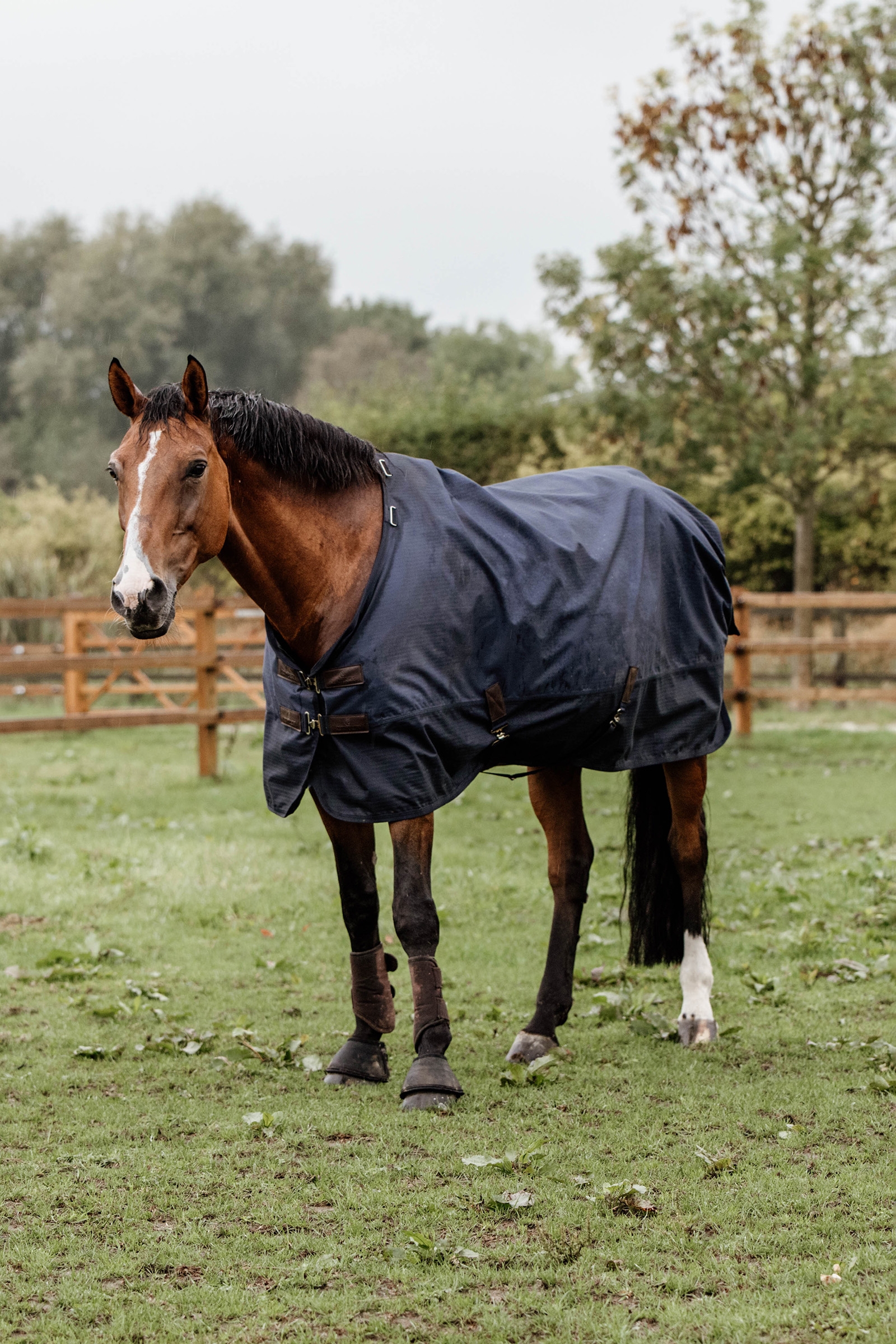 Kentucky Horsewear Winterdeken All Weather 300gr