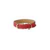 Kentucky Dogwear Hondenhalsband vegan leer