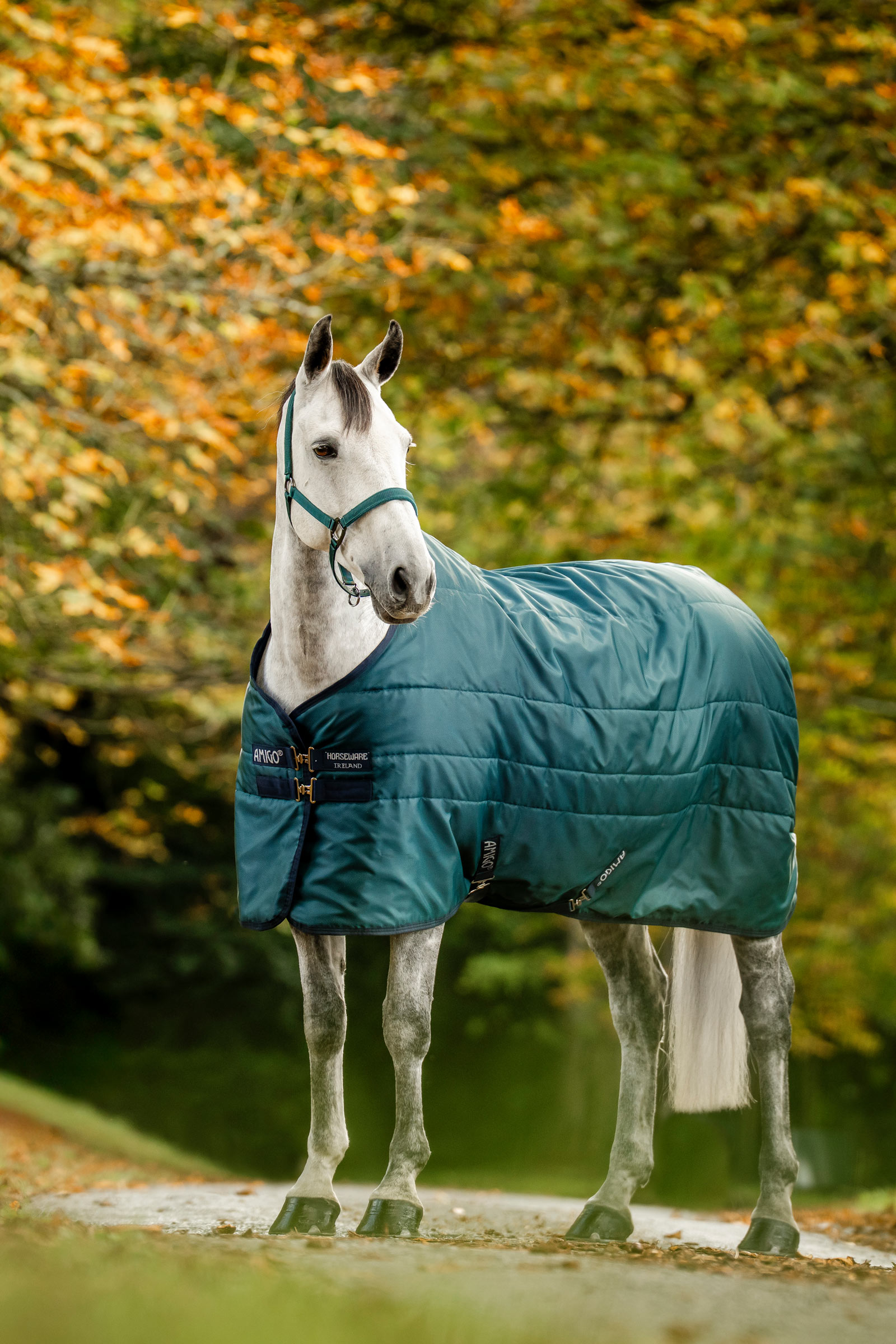 Dynasty Green/Navy/Silver Horseware Amigo Diamond Isolator, 100 g