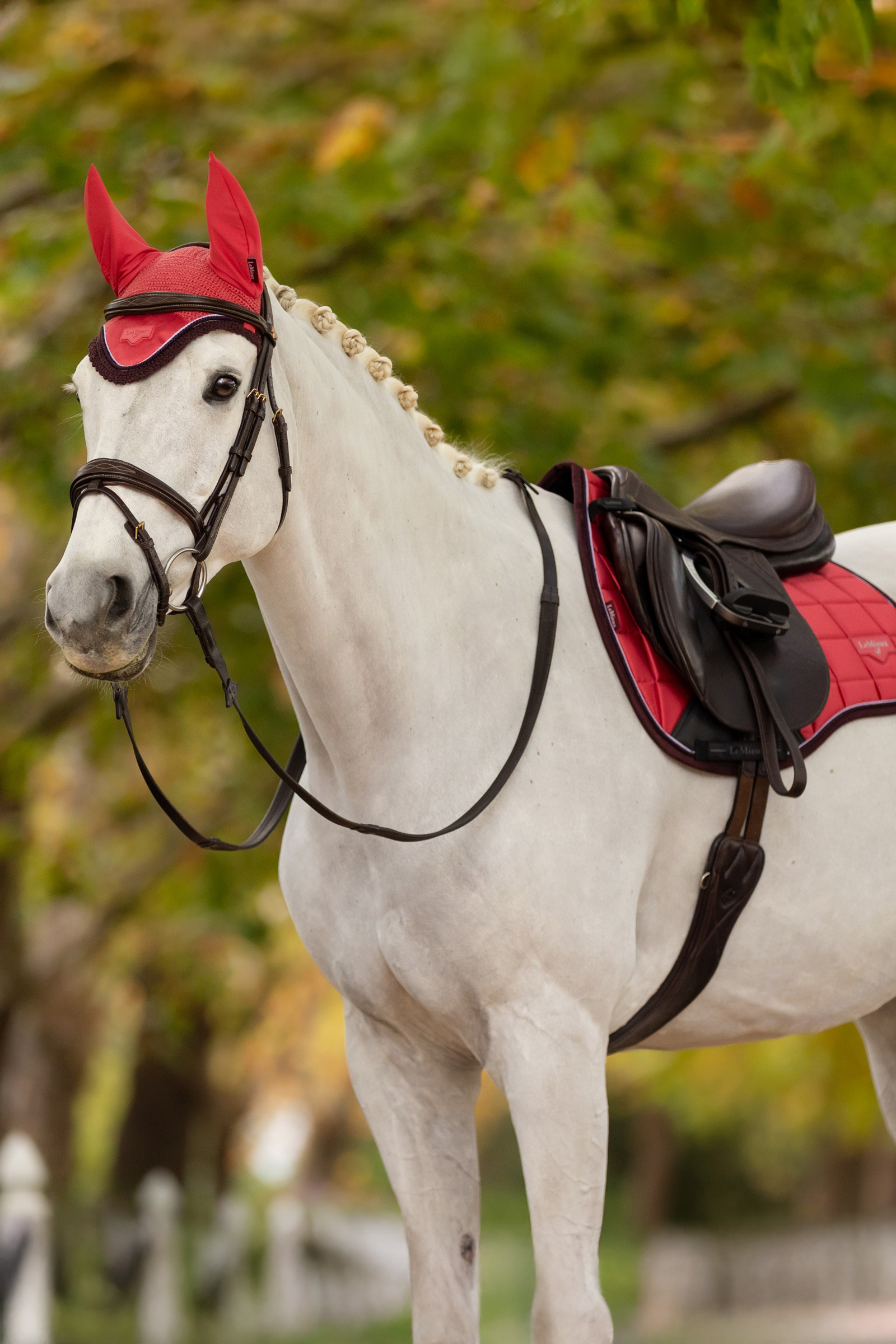 LeMieux Loire vliegenmuts