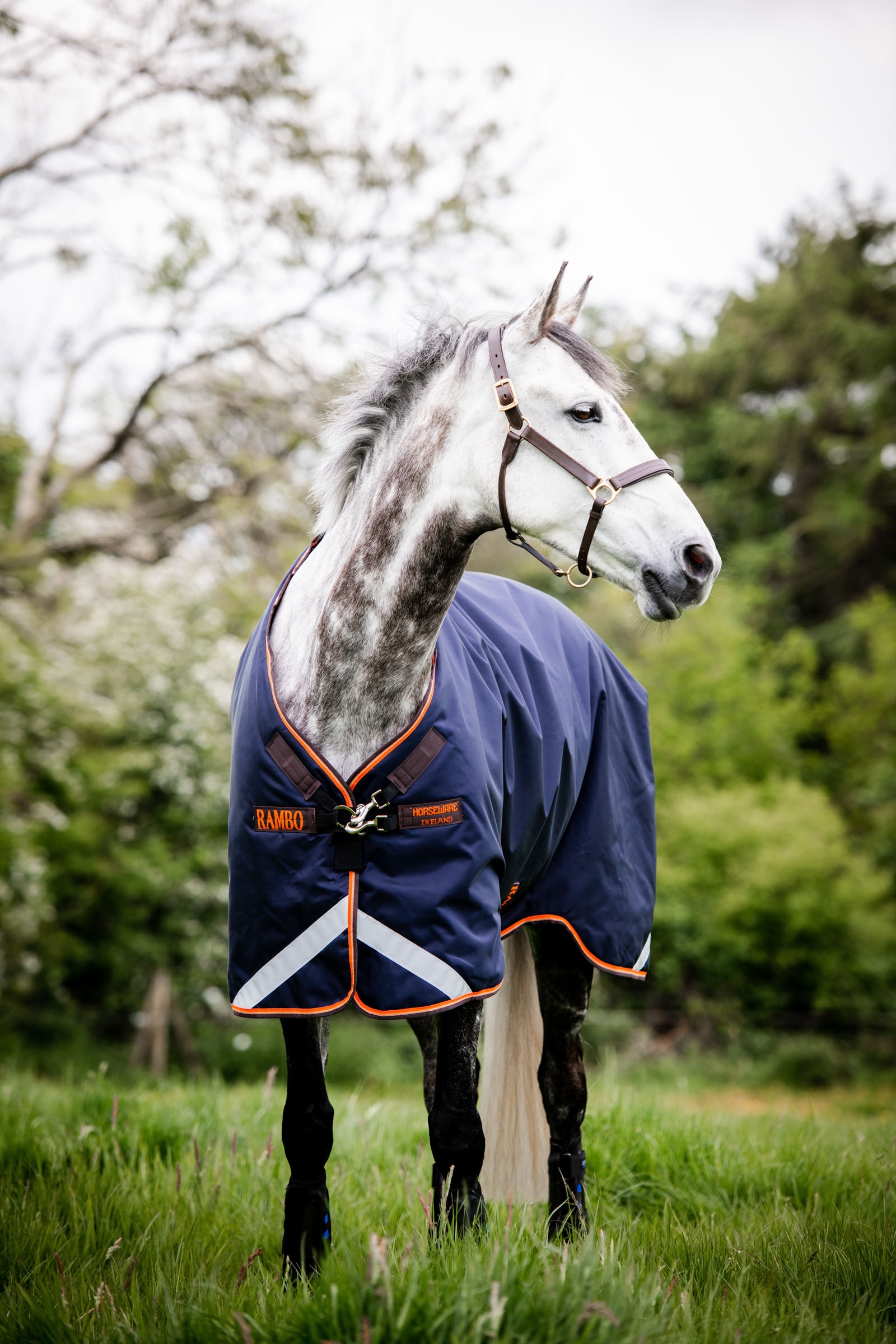 Horseware Rambo Original Regendeken met beenuitsparingen, 100 grams