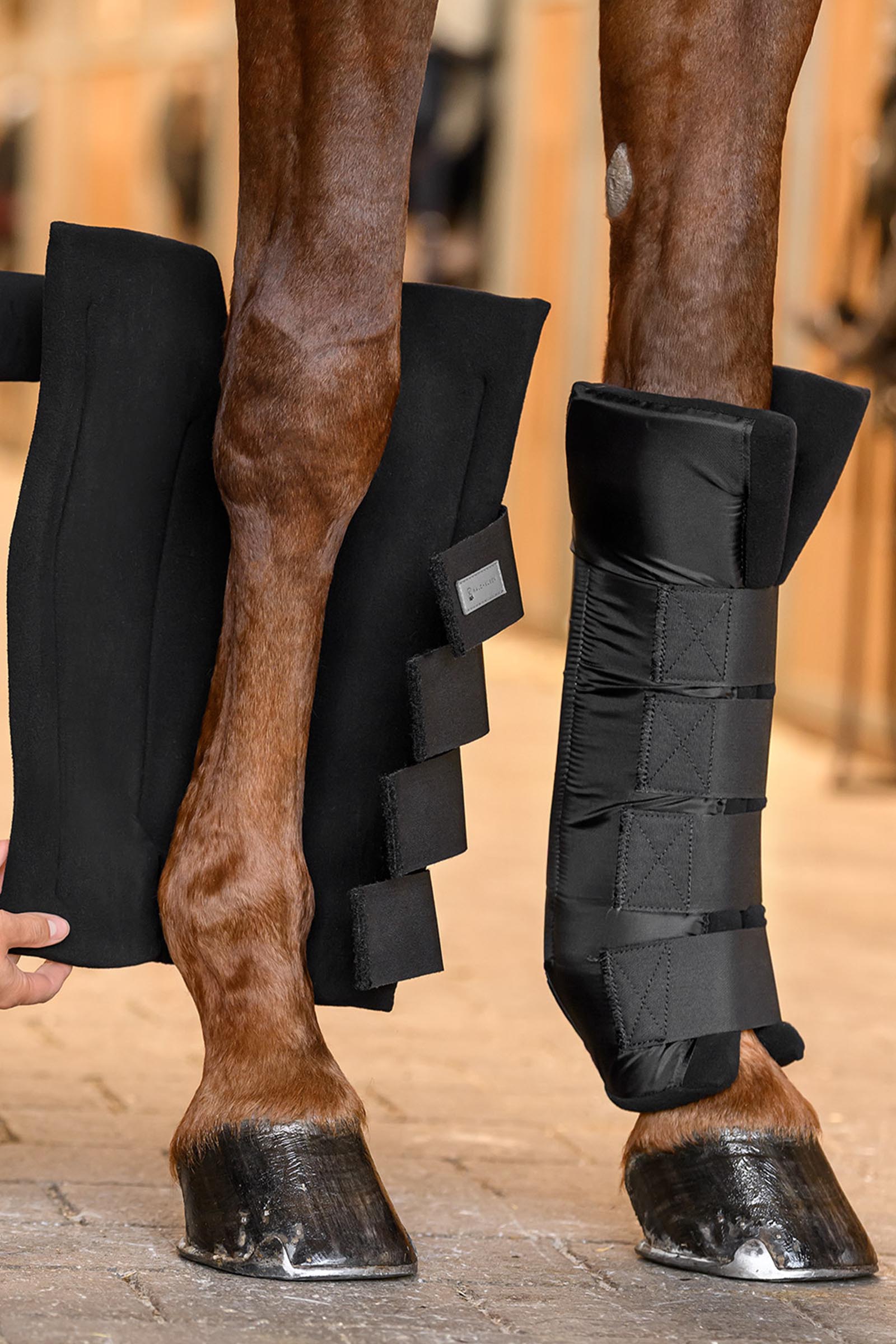 Waldhausen achterbeen stalbeschermers met gewrichtsondersteuning