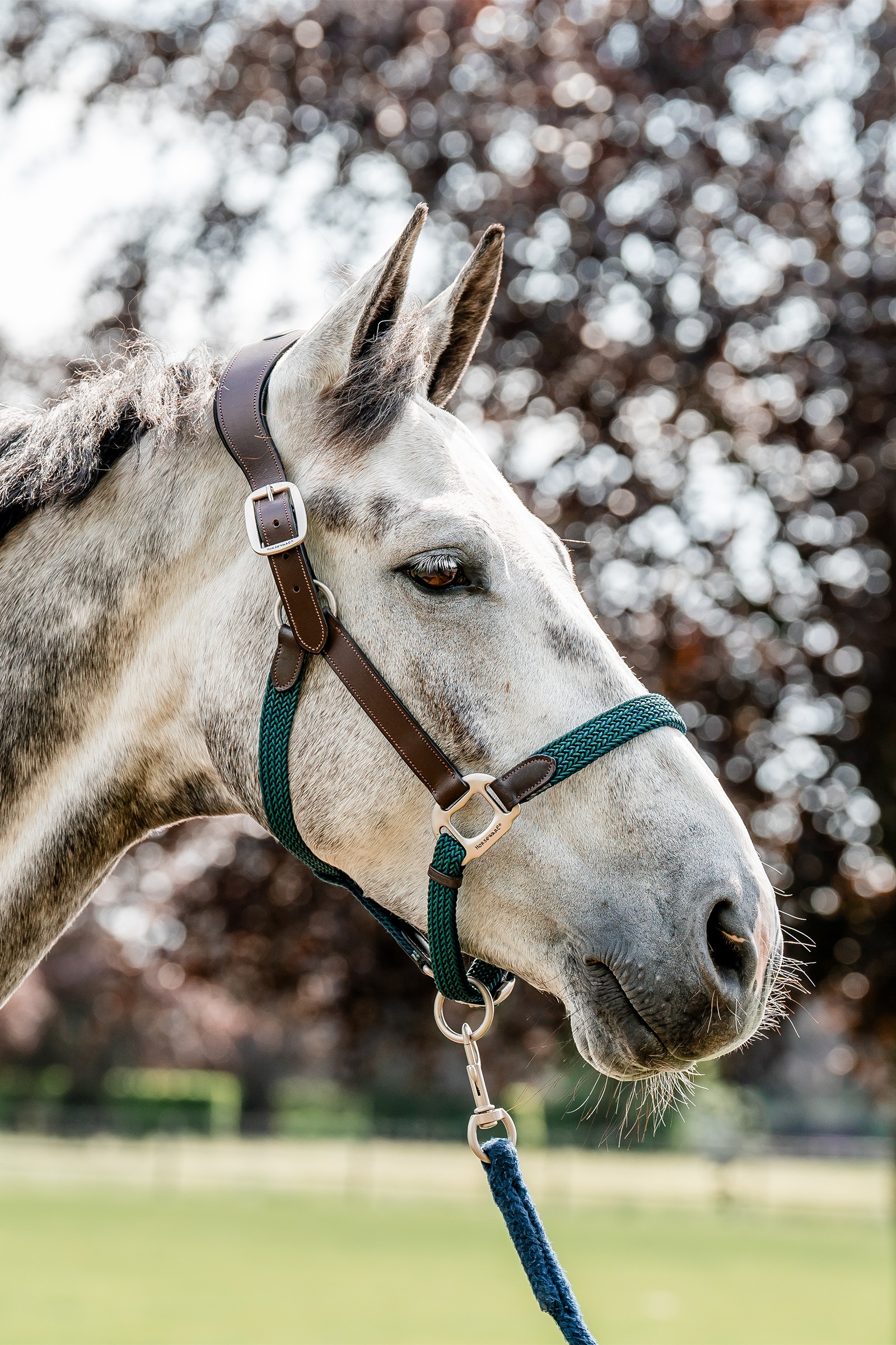 Horseware Signature Gevlochten Halster