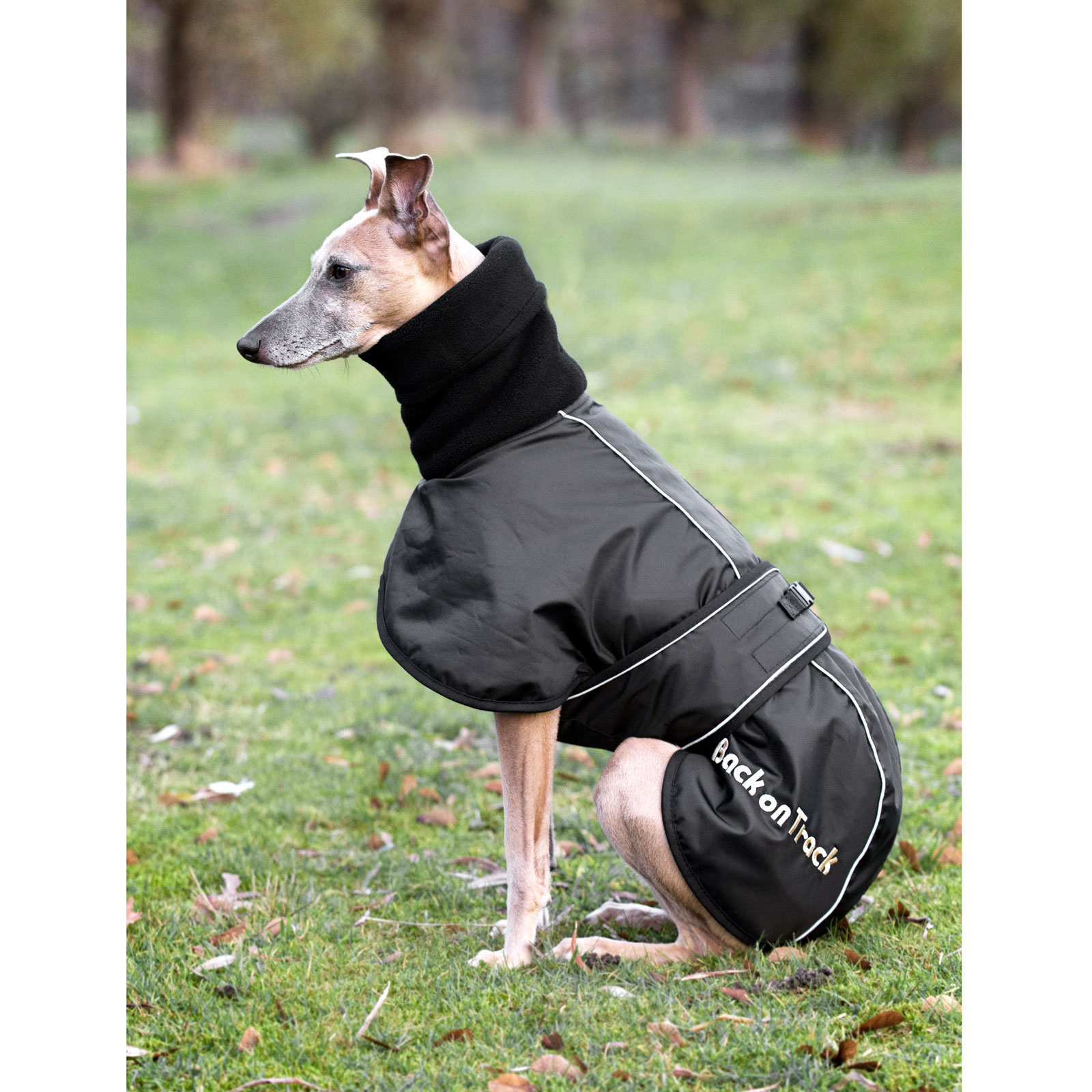 Back on Track Whippet Hondendeken, L-XXL
