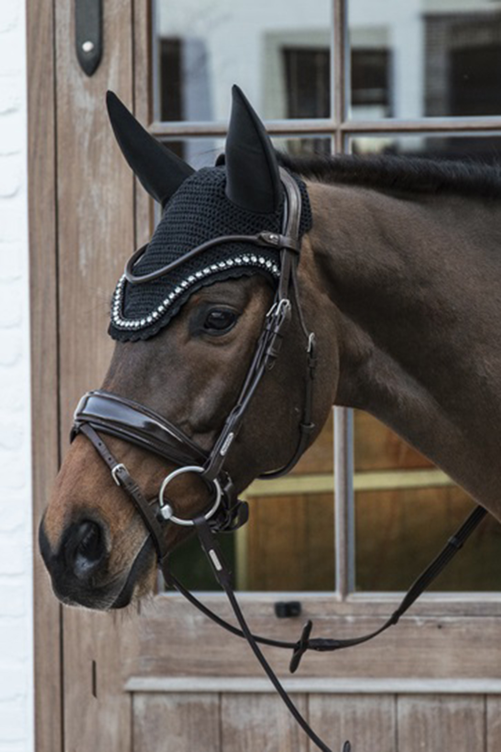 Kentucky Horsewear Oornetje Wellington Big Stone & Pearl Soundless